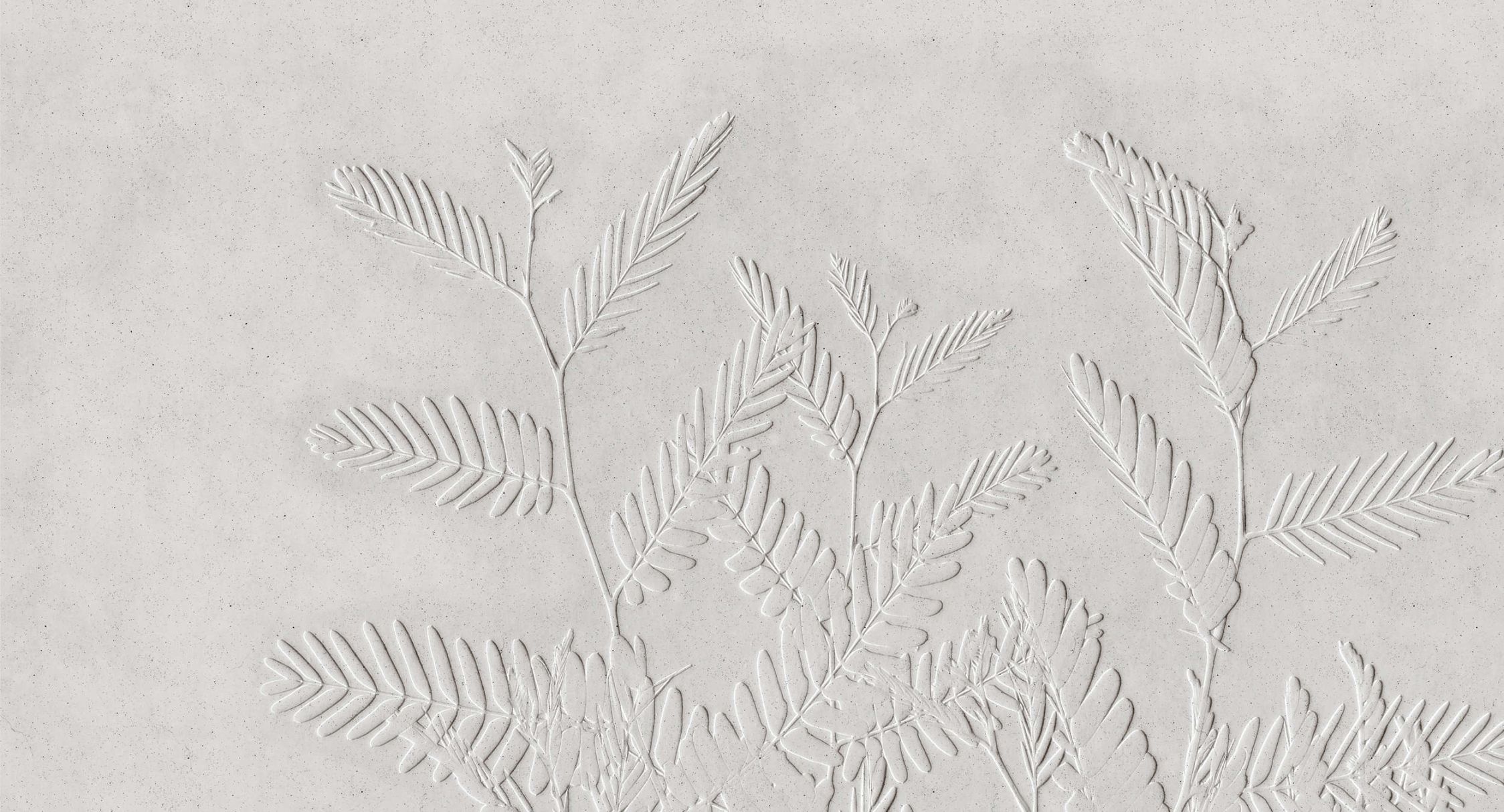             Fotomural »far«< - hojas de helecho delante de textura de yeso de hormigón - claro | Material sin tejer liso, ligeramente nacarado
        
