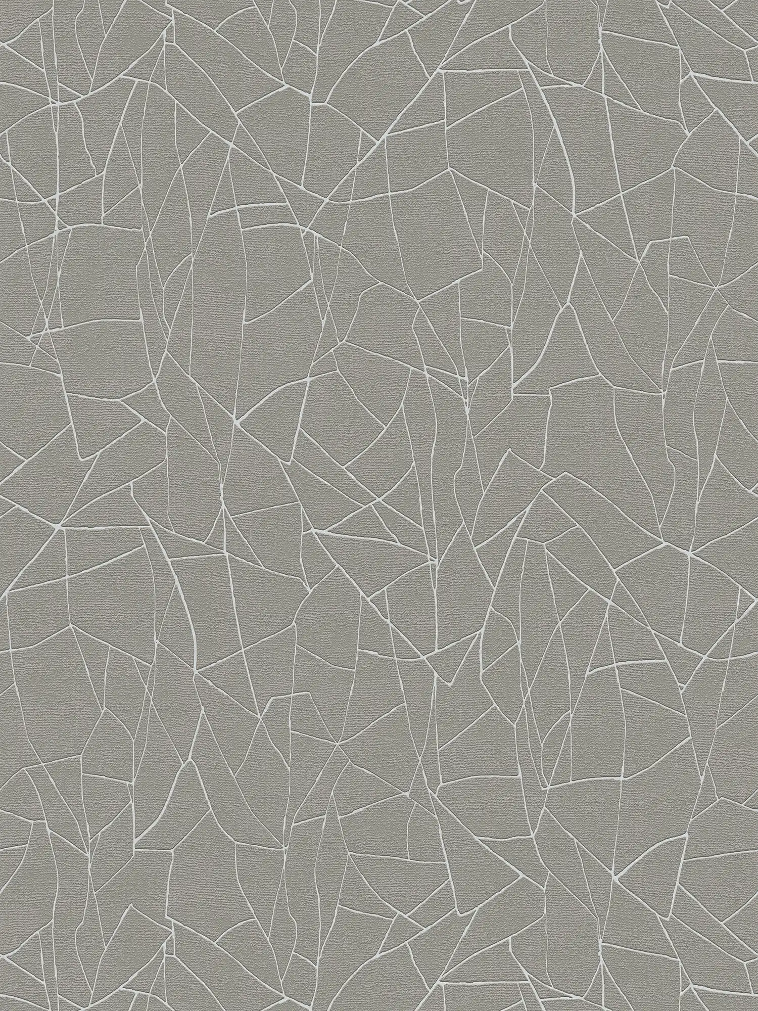 Graphic 3D non-woven wallpaper with natural pattern - grey, white
