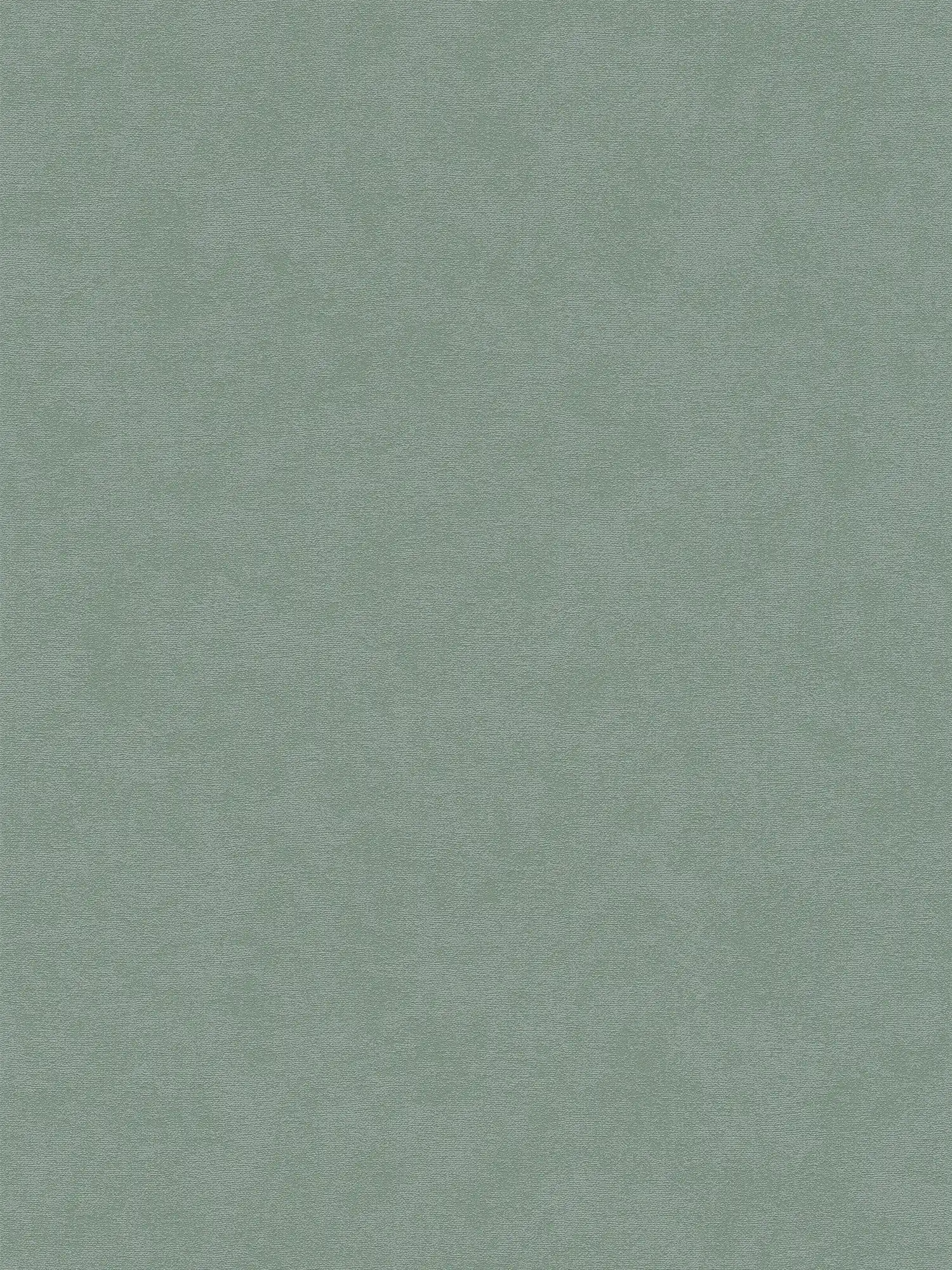         Single-coloured non-woven wallpaper with a soft texture - Green
    