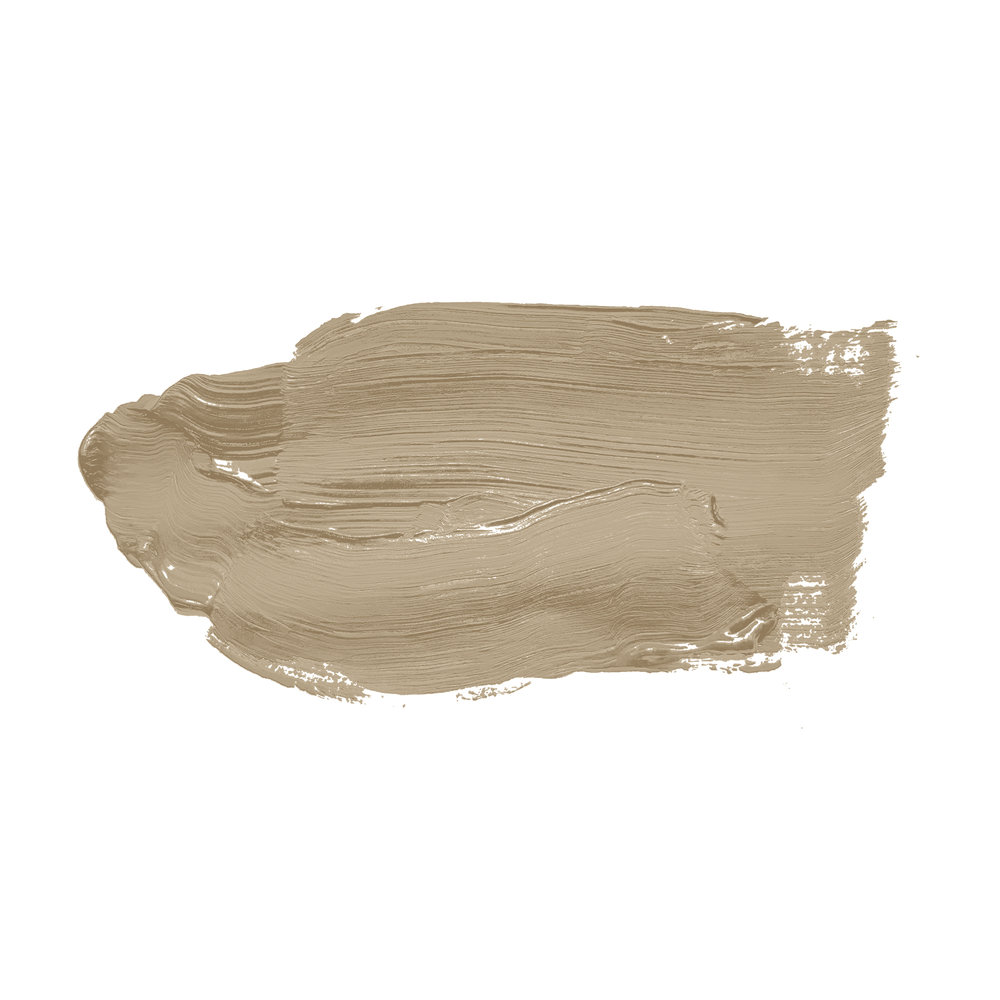             Wall Paint TCK6001 »Green Lentil« in earthy khaki – 2.5 litre
        