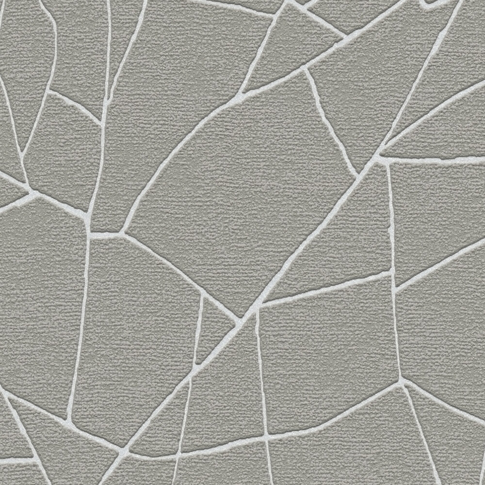             Carta da parati grafica in tessuto non tessuto 3D con motivi naturali - grigio, bianco
        