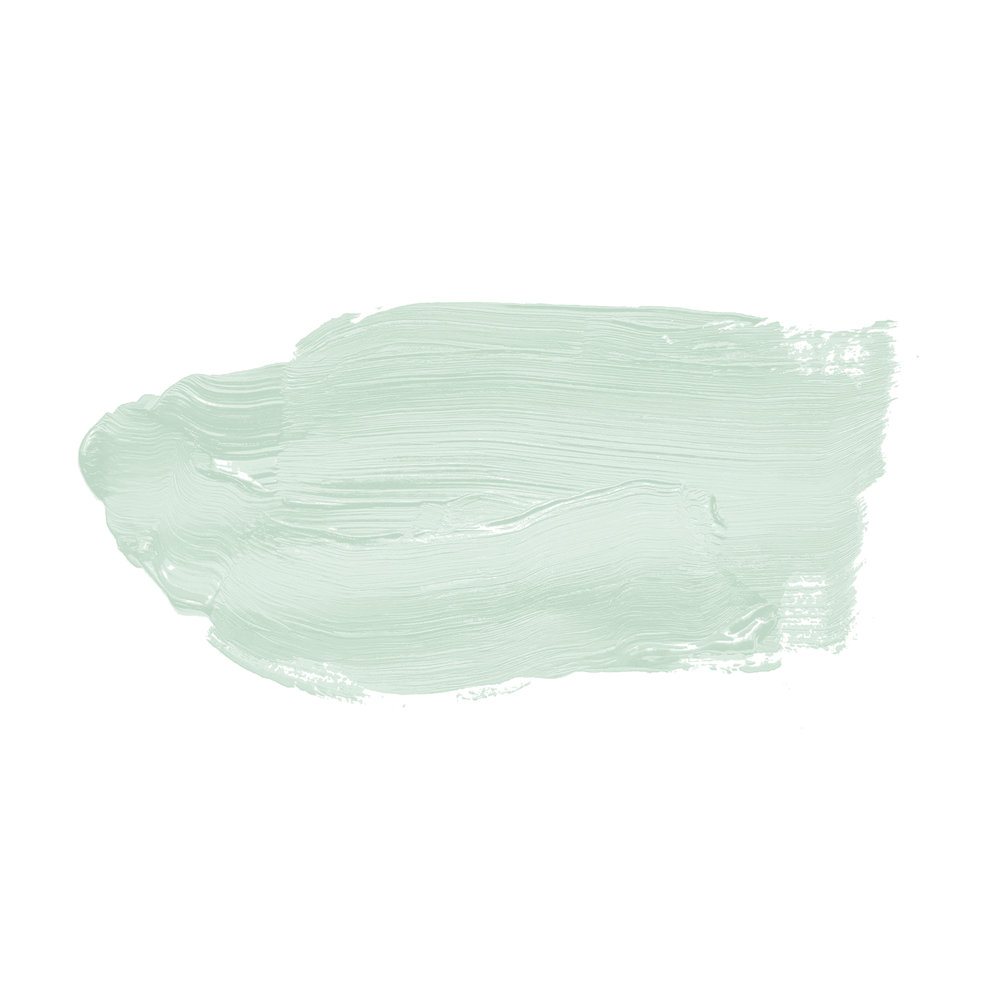             Pittura murale TCK3000 »Perky Peppermint« in tonalità menta chiara – 2,5 litri
        