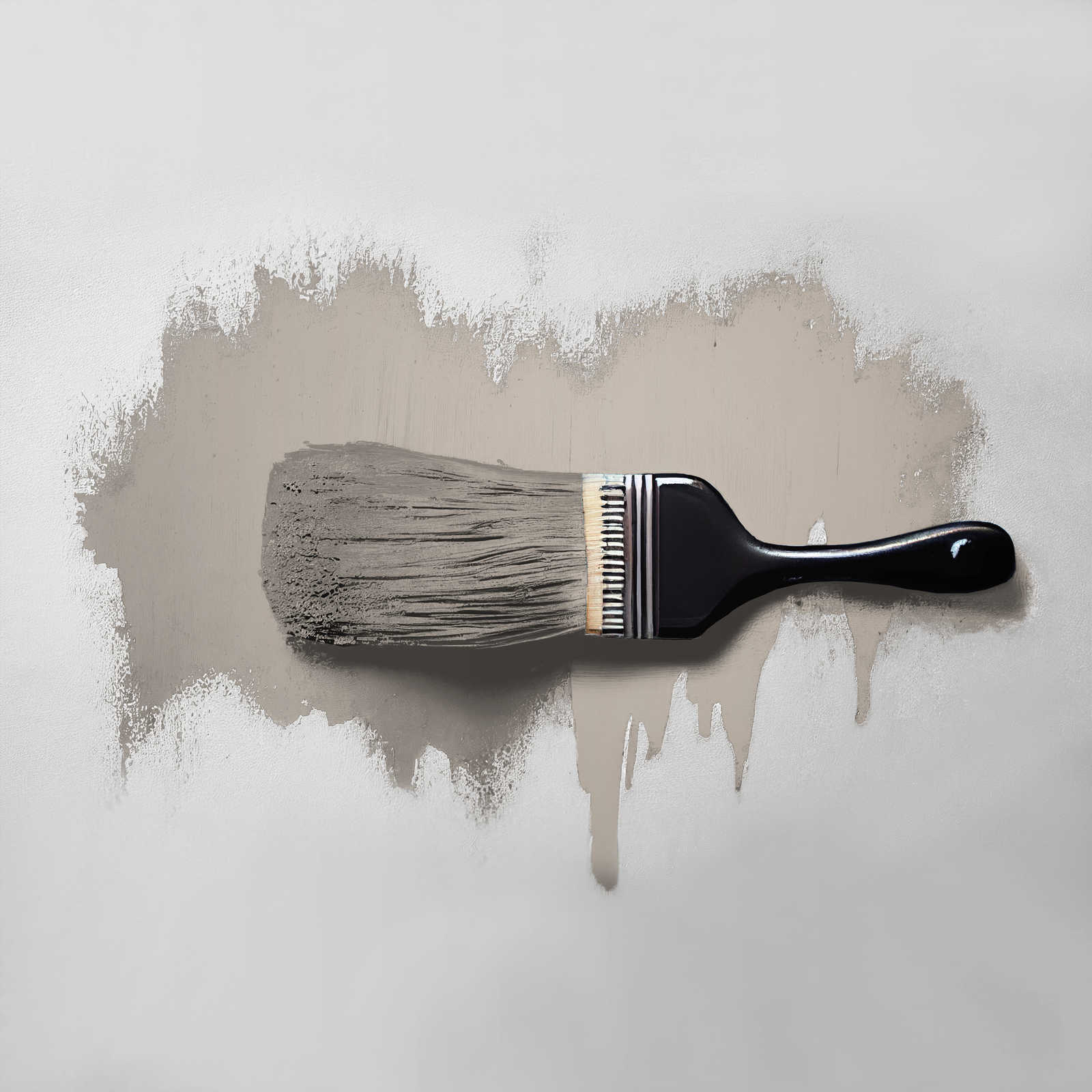             Wall Paint TCK1018 »Whole Grain« in typical taupe – 2.5 litre
        