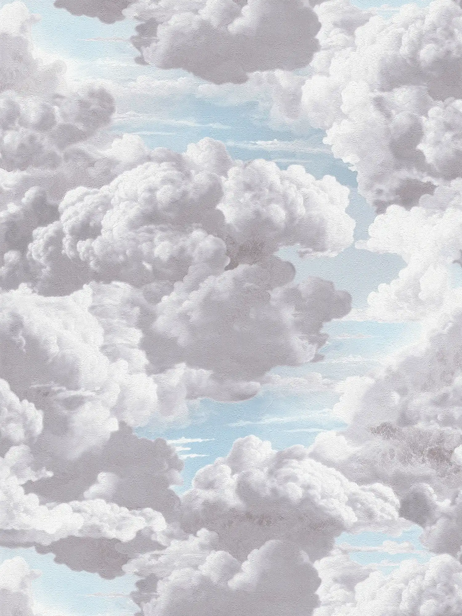 Cloud pattern in oil painting look as non-woven wallpaper - grey, blue, white
