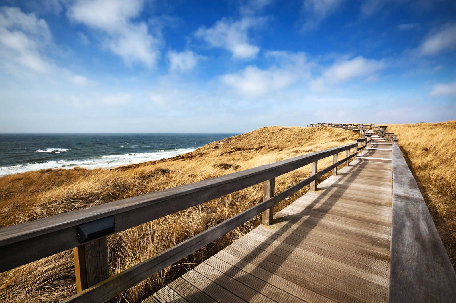             Canvas schilderij duinen met loopbrug aan zee - 1.20 m x 0.80 m
        