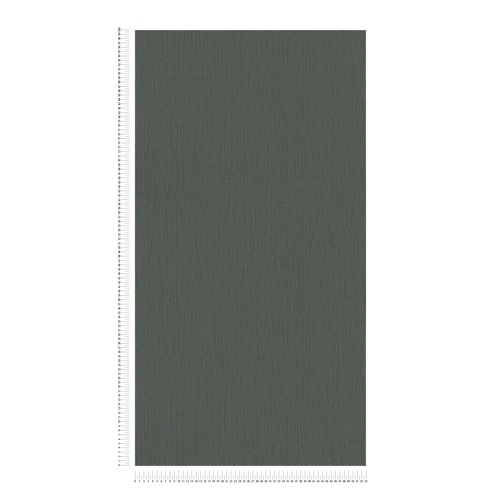             Dark plain non-woven wallpaper with a textured look - grey, anthracite
        