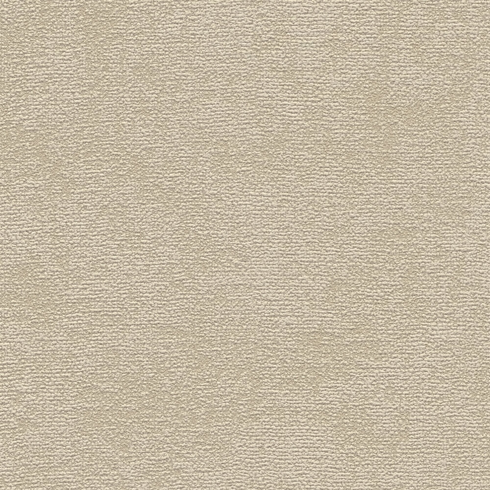             Plain non-woven wallpaper with fine texture - beige
        