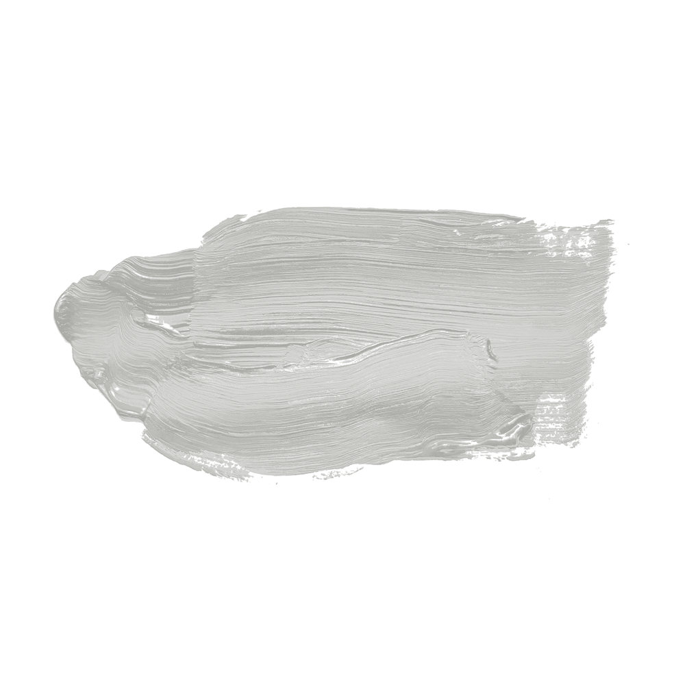             Pittura murale TCK1003 »Pure Pitaya« in grigio bluastro – 5,0 litri
        