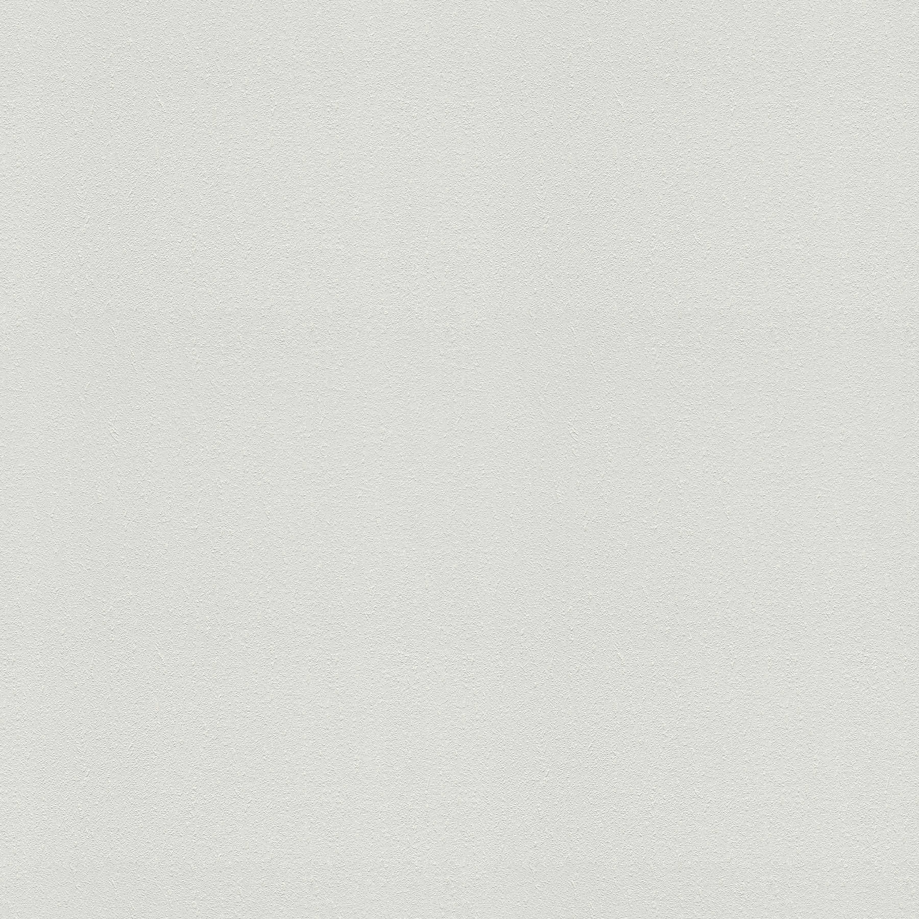 Plaster look wallpaper paintable master fleece - white
