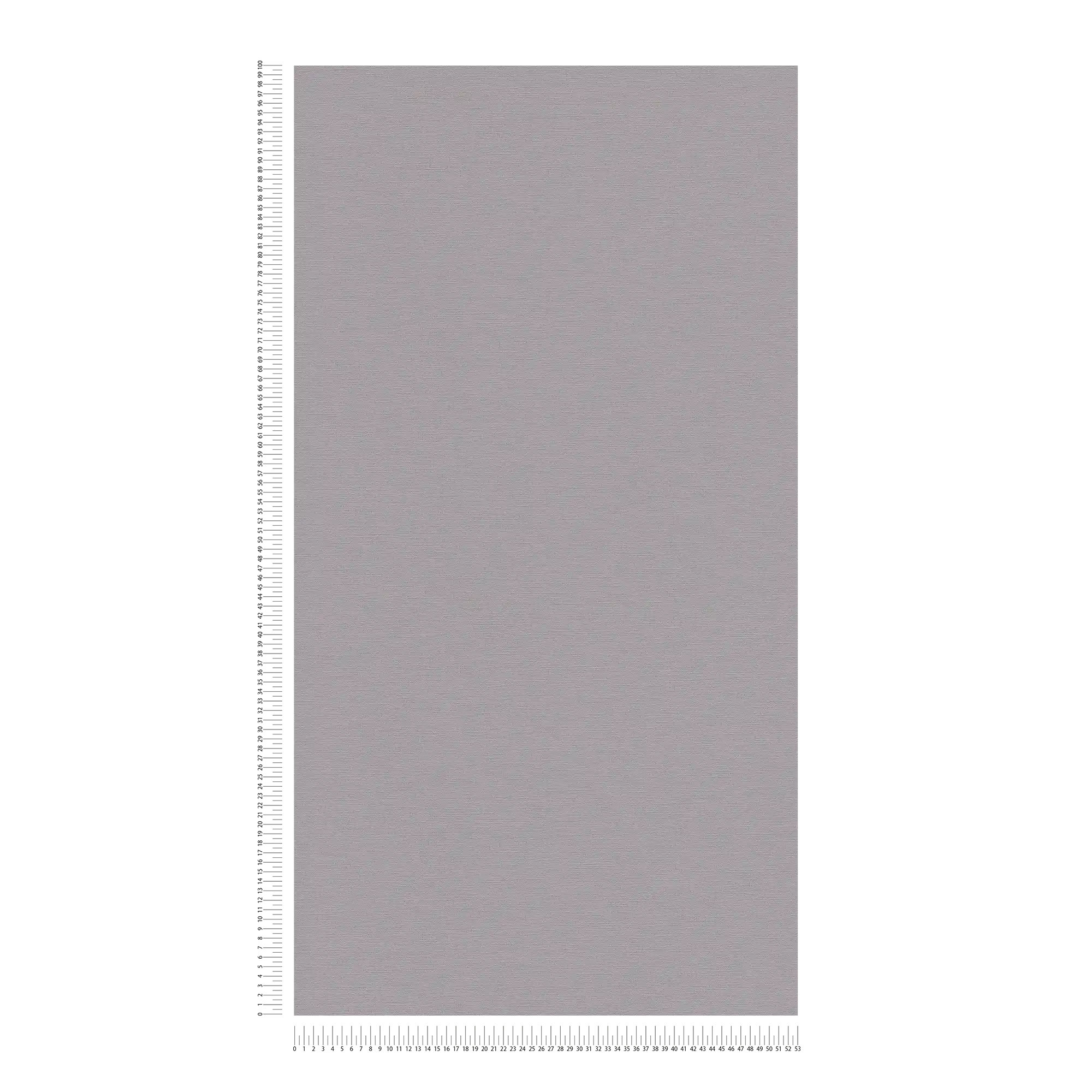             Papier peint intissé uni aspect lin - gris foncé
        