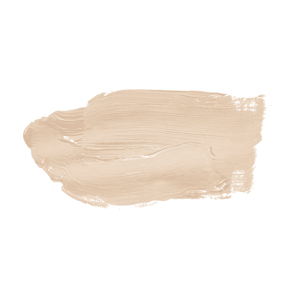             Pittura murale TCK6008 »Pure Pampas« in beige delicato – 5,0 litri
        