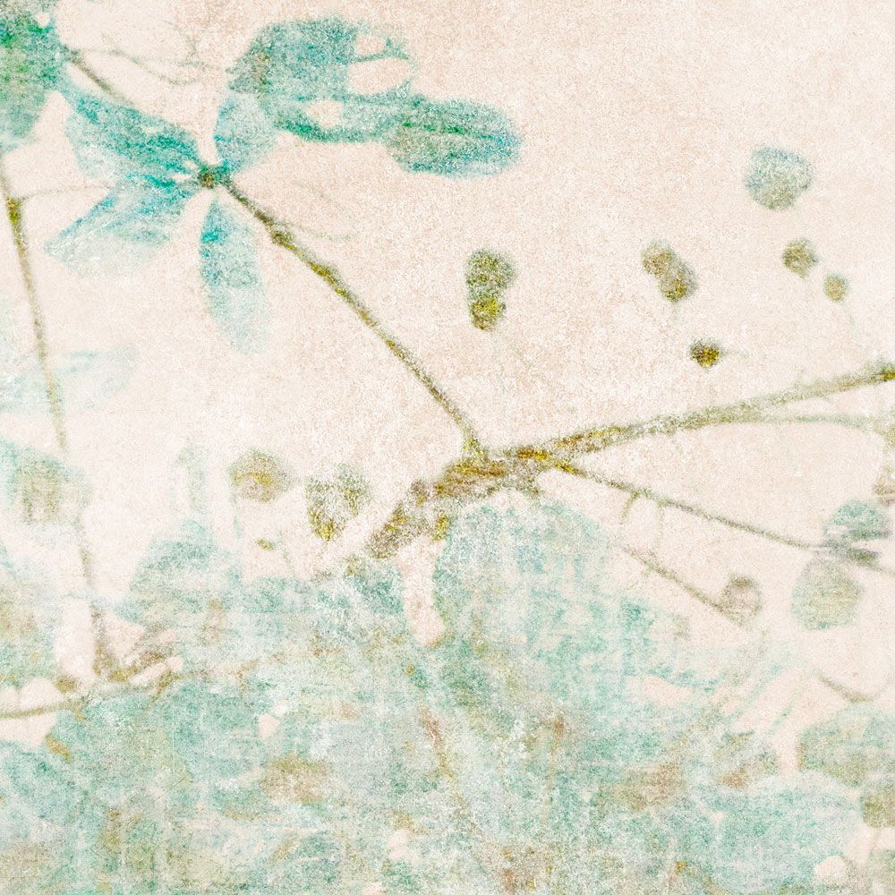             Papel pintado fotográfico »nikko« - Ramas en tonos pálidos con textura de yeso vintage de fondo - Tela no tejida de textura ligera.
        