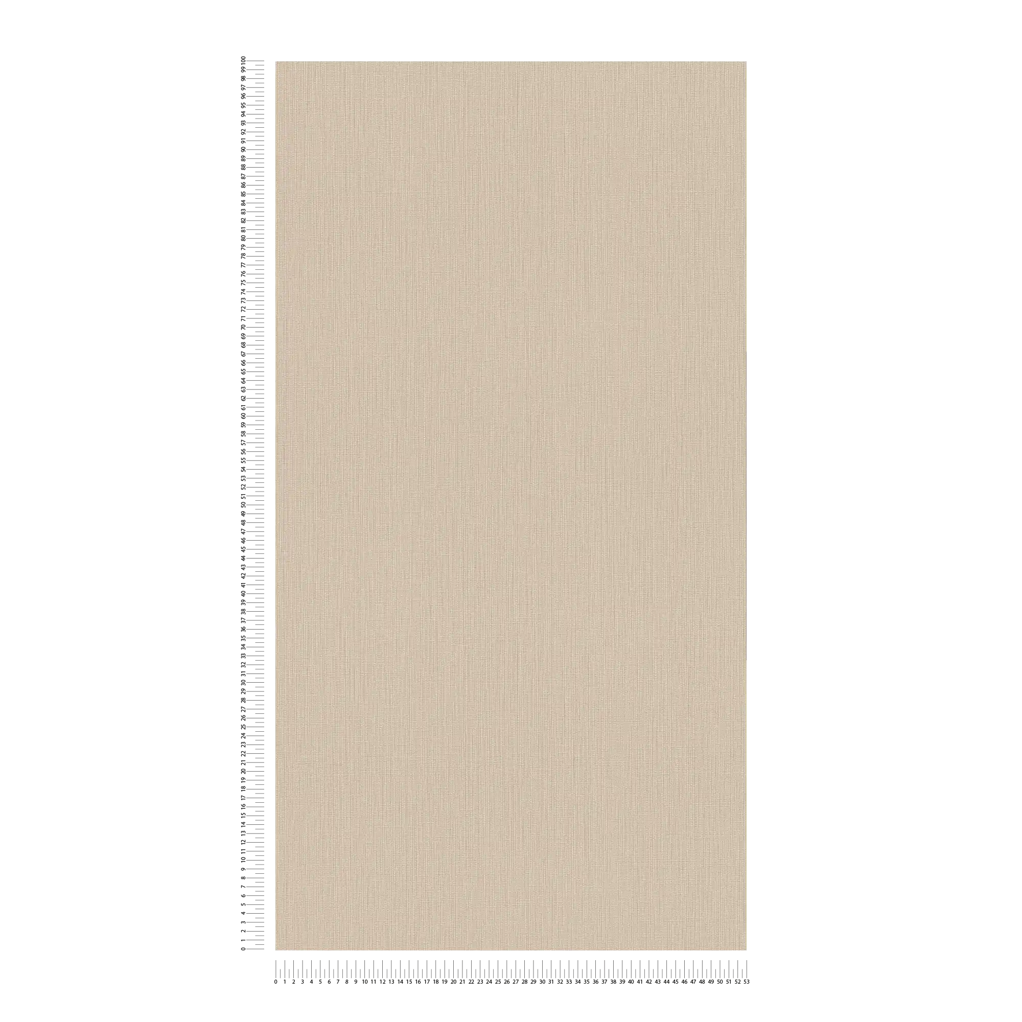             Carta da parati monocolore in tessuto non tessuto - Beige
        