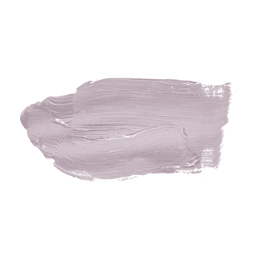             Wall Paint TCK2004 »Leafy Lavender« in cool lavender shade – 2.5 litre
        