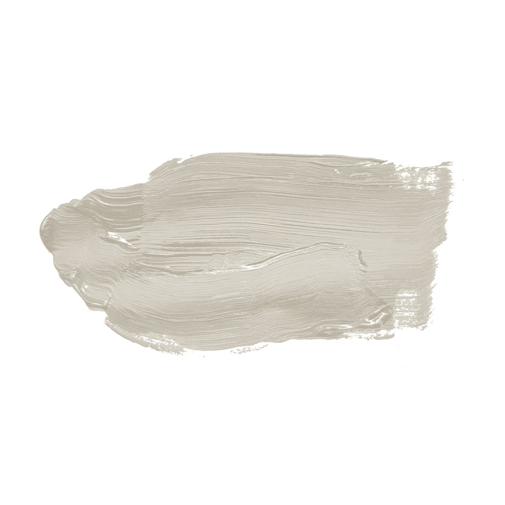             Peinture murale TCK1016 »Opened Oyster« en gris tendre – 5,0 litres
        