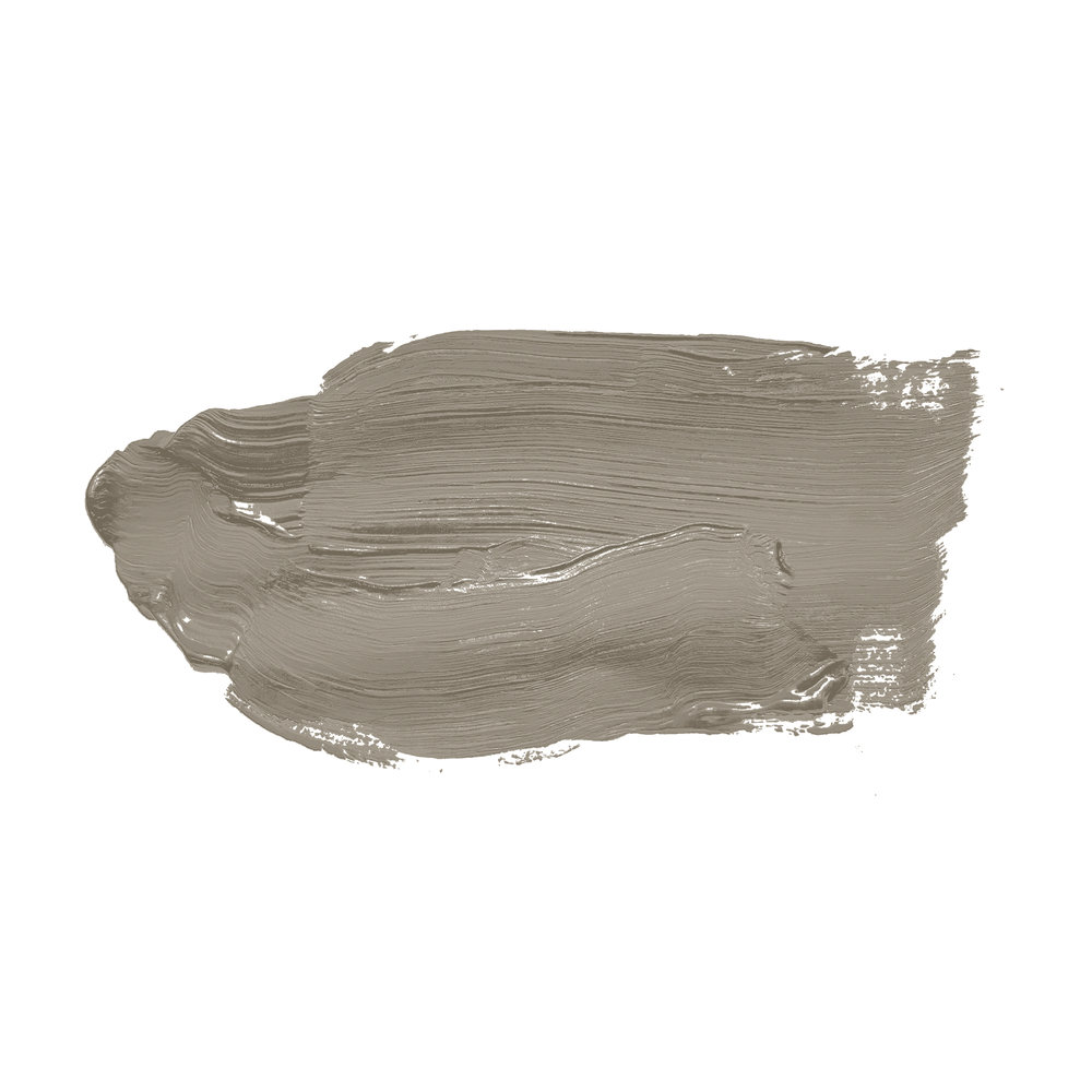             Wall Paint TCK1020 »Aesthetic Ajwain« in soothing taupe – 2.5 litre
        