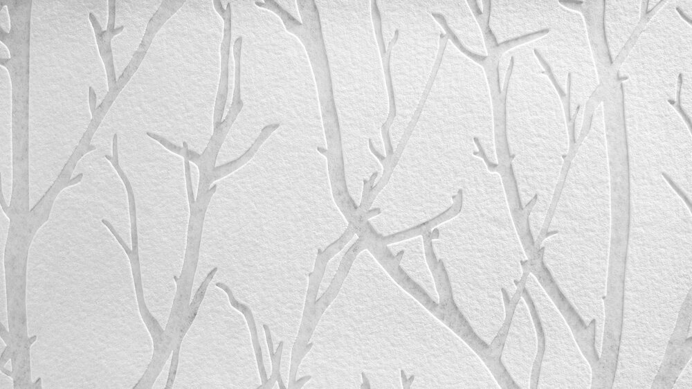             Papier peint à peindre avec motif de branches et aspect 3D - à peindre, blanc
        