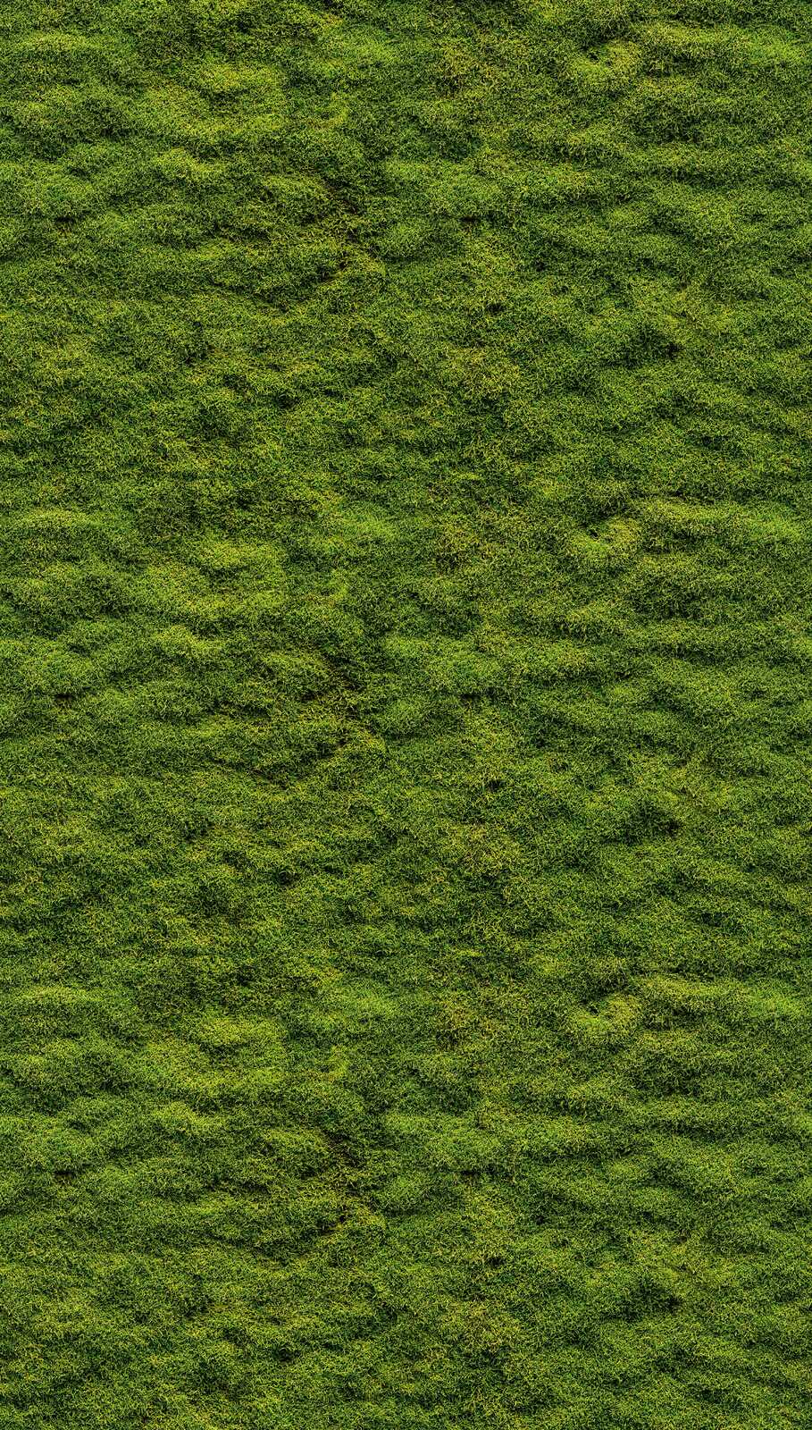             Non-woven forest wallpaper with moss motif and large-scale pattern repetition - green
        