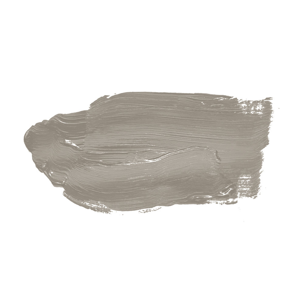             Peinture murale TCK1019 »Grey Pumpkin« en taupe confortable – 5,0 litres
        