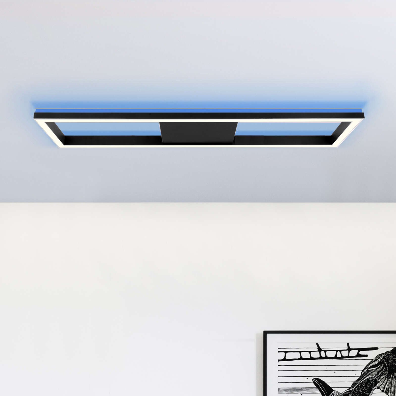            Plastic wall and ceiling light - Janis 6 - Black
        