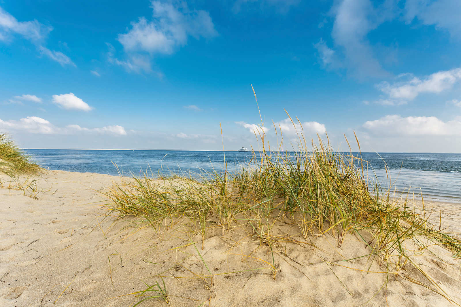             Canvas schilderij Kustlandschap met duinstrand - 1.20 m x 0.80 m
        