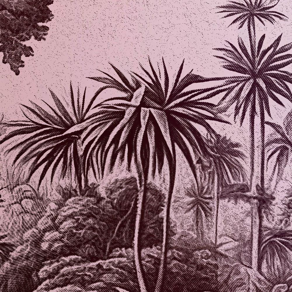             Fotomurali »livia« - Design della giungla con sfumature di colore - dal viola al verde scuro | tessuto non tessuto opaco e liscio
        