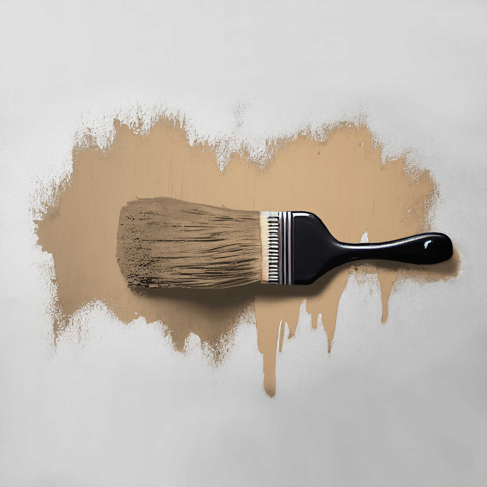             Wall Paint TCK6004 »Active Almond« in cosy beige brown – 2.5 litre
        