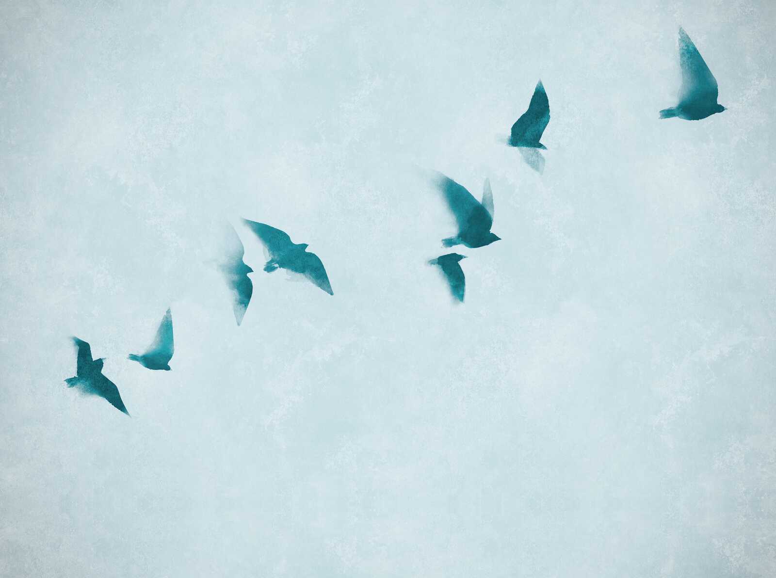             Calming photo wallpaper with flying birds in the sky as non-woven wallpaper - blue
        