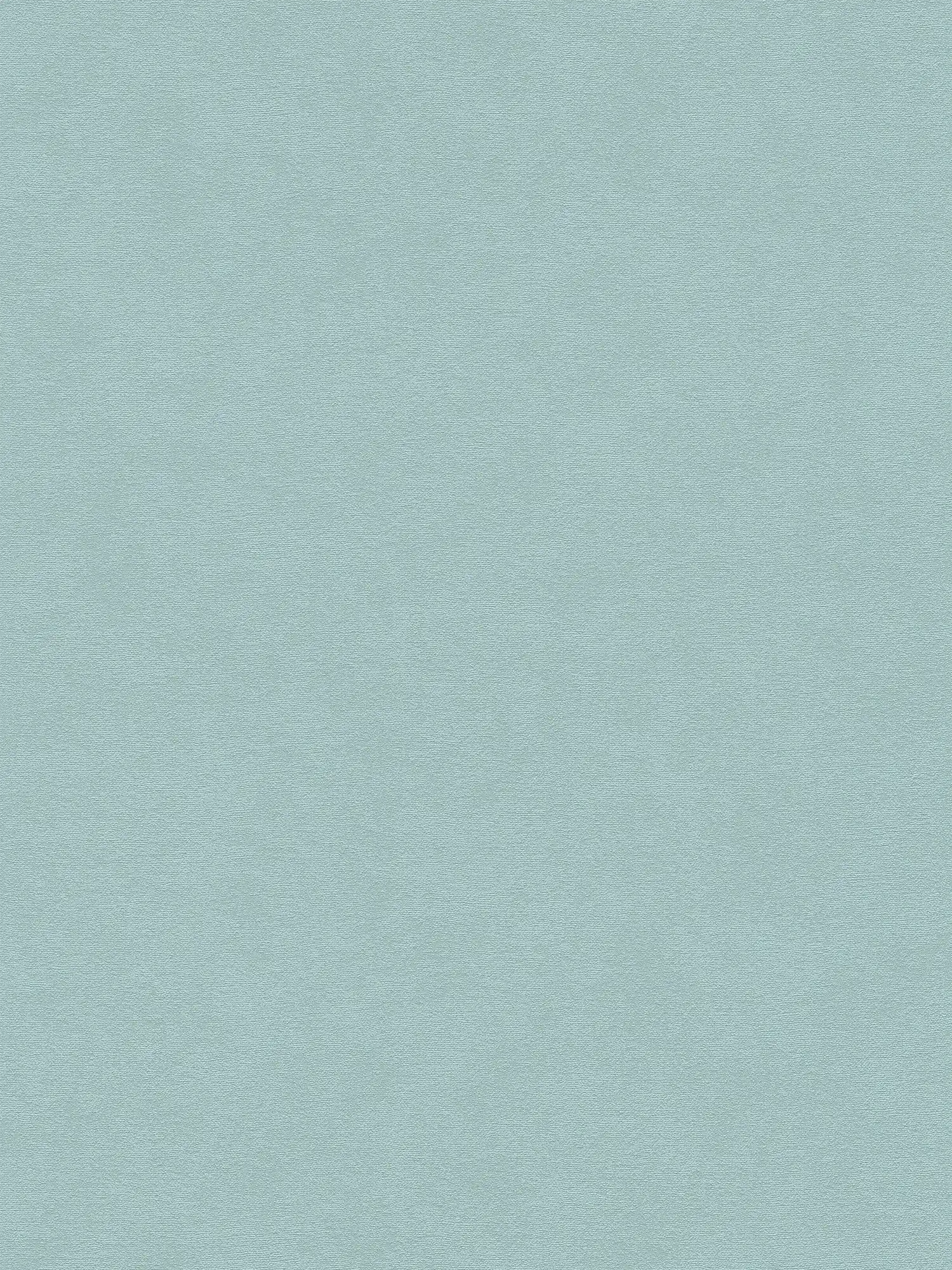             Single-coloured non-woven wallpaper with a subtle surface texture - blue, green
        