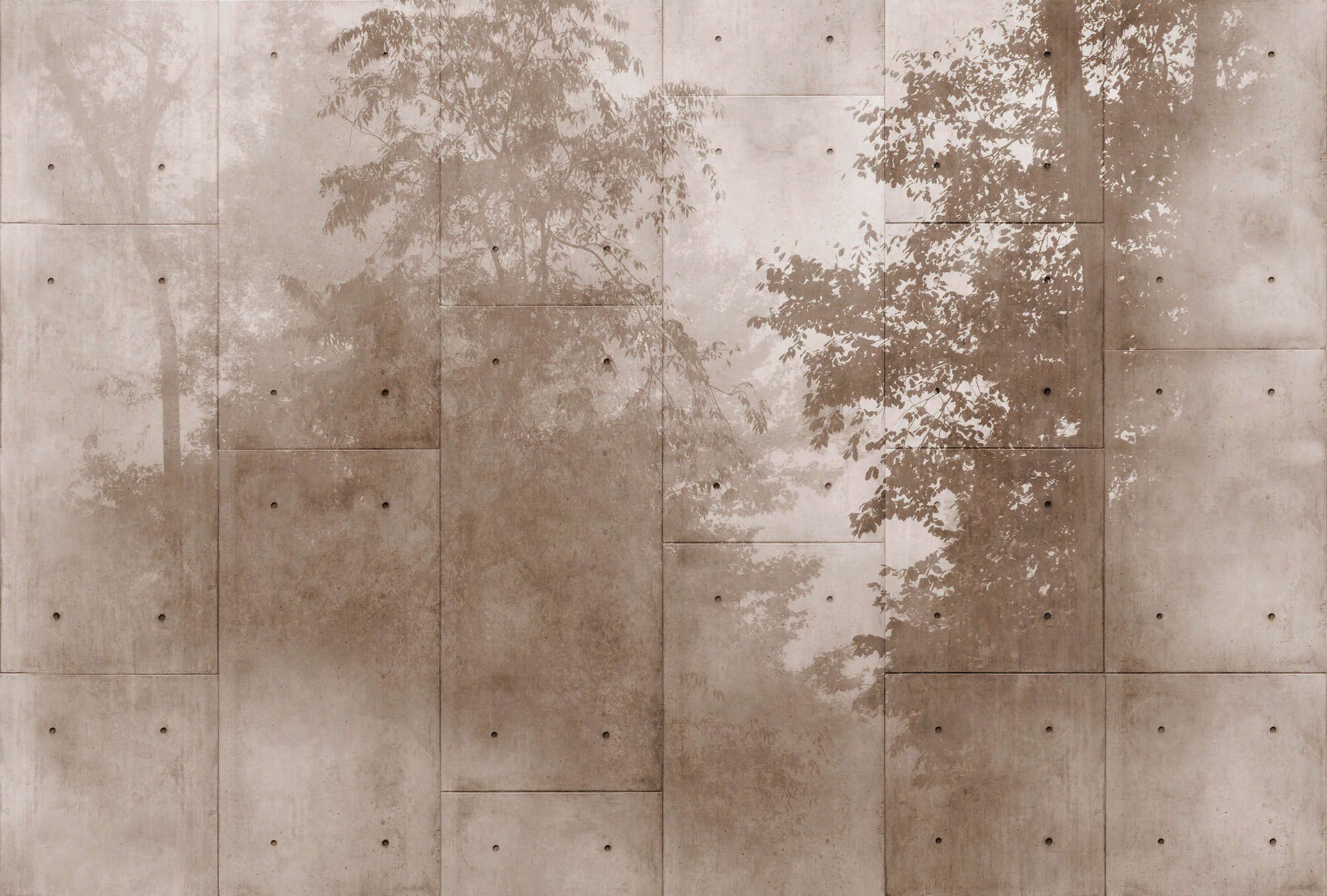             Fotomurali »mytho« - cime di alberi su lastre di cemento - tessuto non tessuto opaco e liscio
        