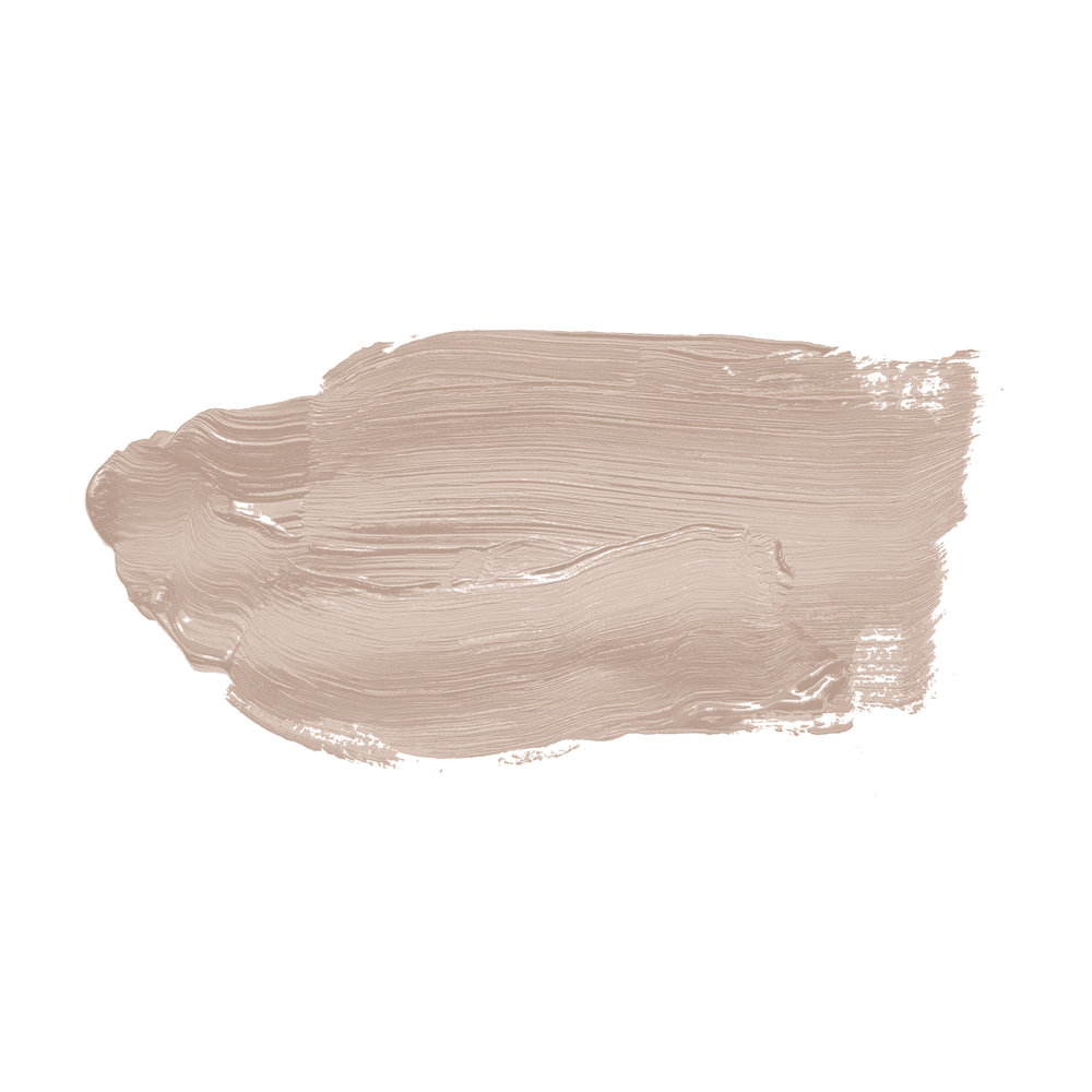             Pintura mural TCK6017 »Chilled Chai Latte« en gris suave – 2,5 litro
        