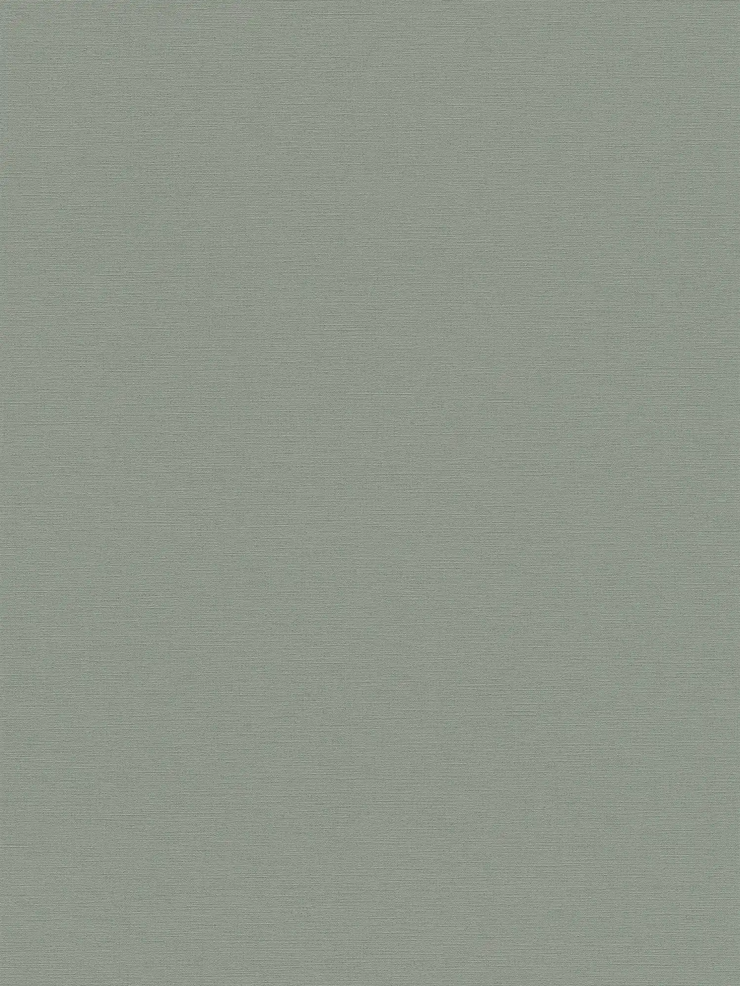 Discreet plain wallpaper - green
