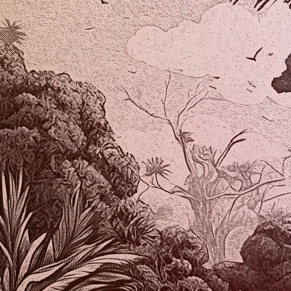             Fotomurali »liana« - Disegno della giungla con sfumature di colore - arancione, viola, grigio-verde | Materiali non tessuto liscio, leggermente perlato e scintillante
        
