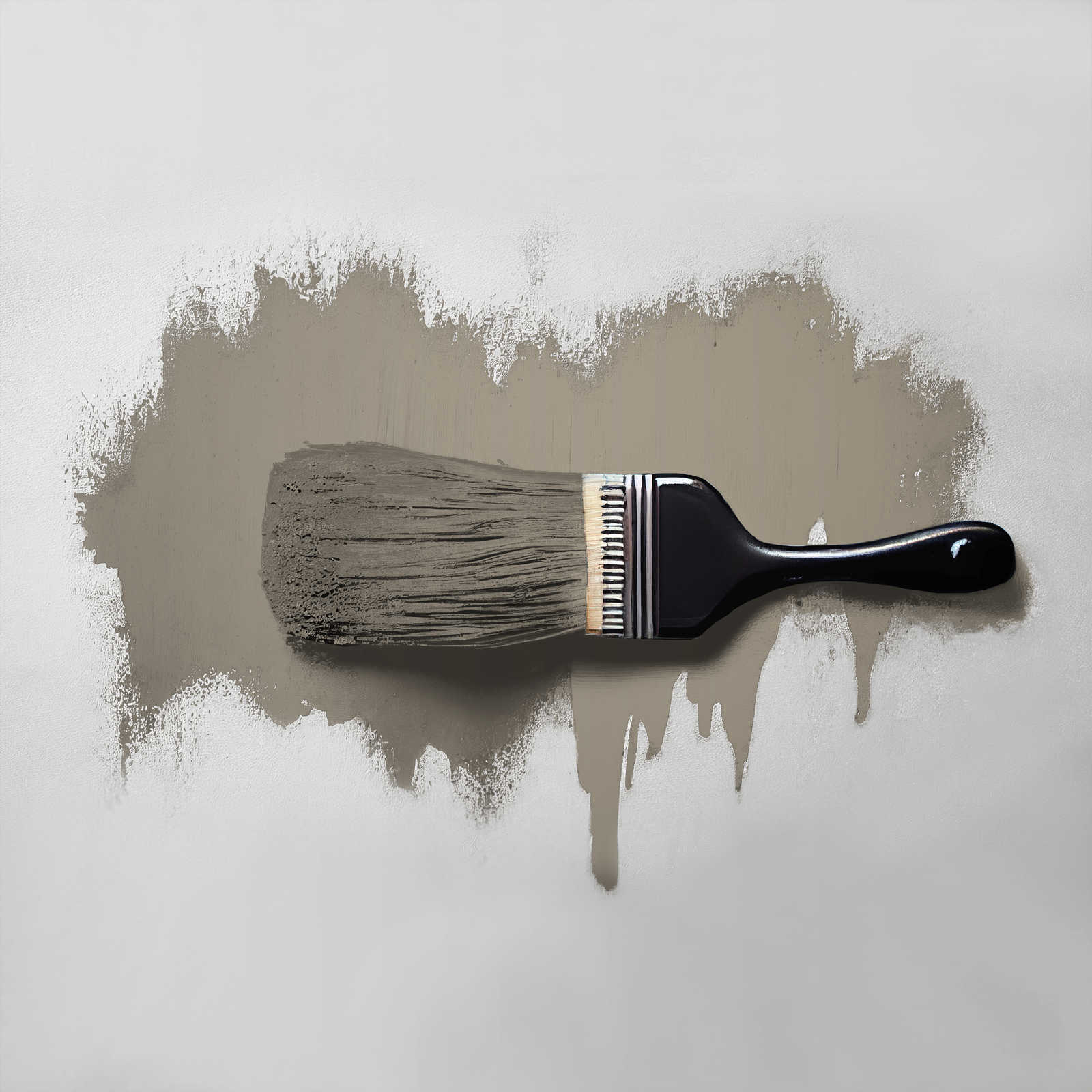             Wall Paint TCK1020 »Aesthetic Ajwain« in soothing taupe – 2.5 litre
        