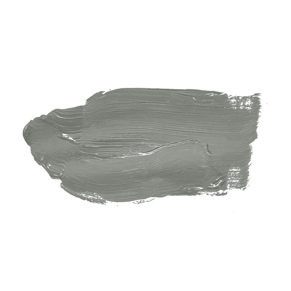             Pittura murale TCK4014 »Original Oregano« in grigioverde – 2,5 litri
        