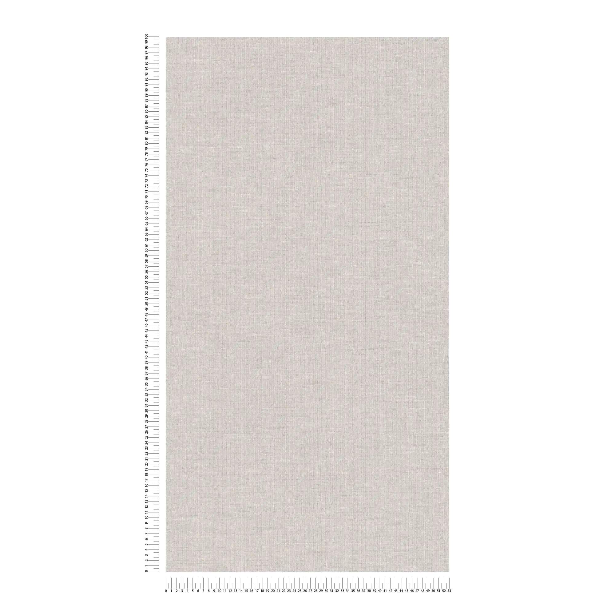             Single-coloured non-woven wallpaper in a soft shade - grey, beige
        