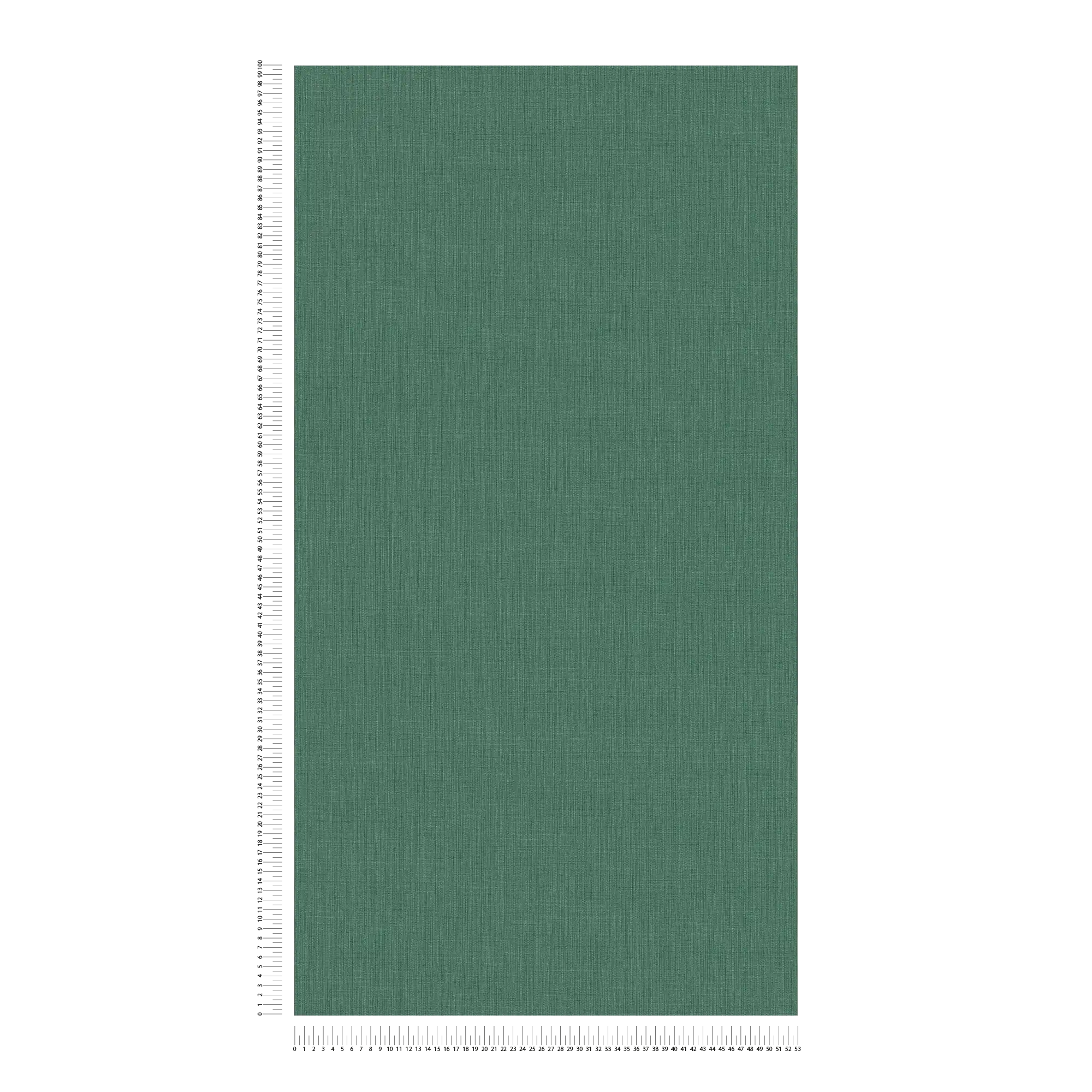             Single-coloured non-woven wallpaper with a textured effect in a dark shade - Green
        