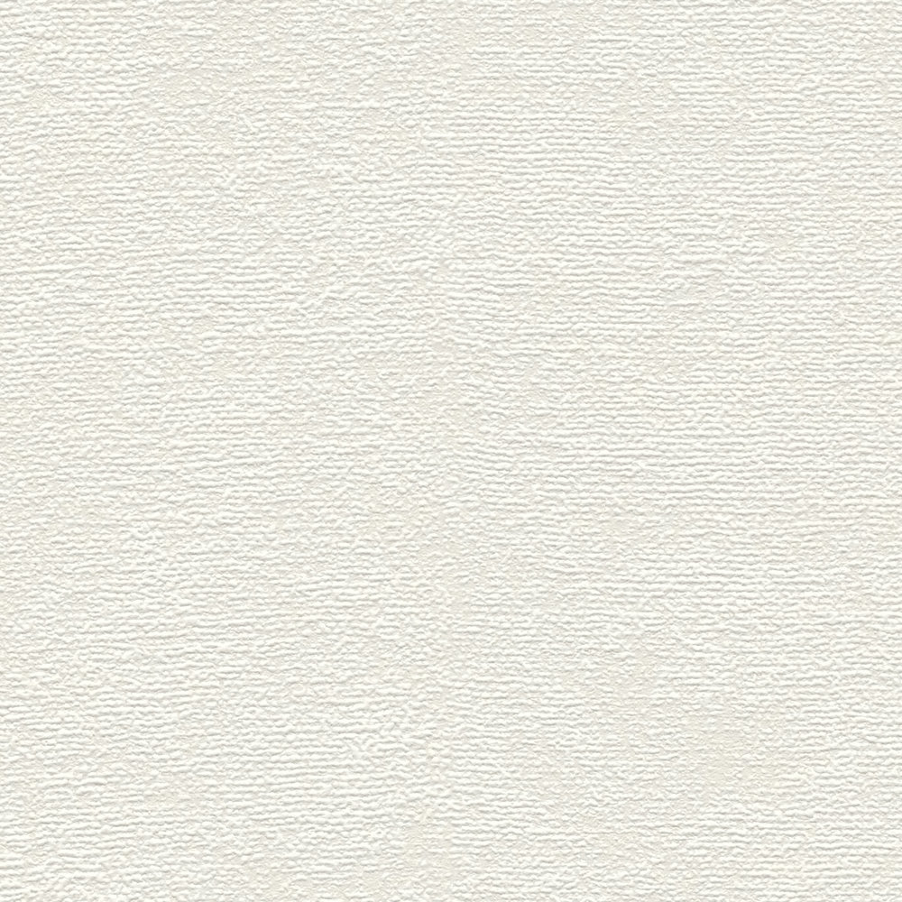             Eenheidsbehang in een eenvoudige kleurtint - wit, crème
        