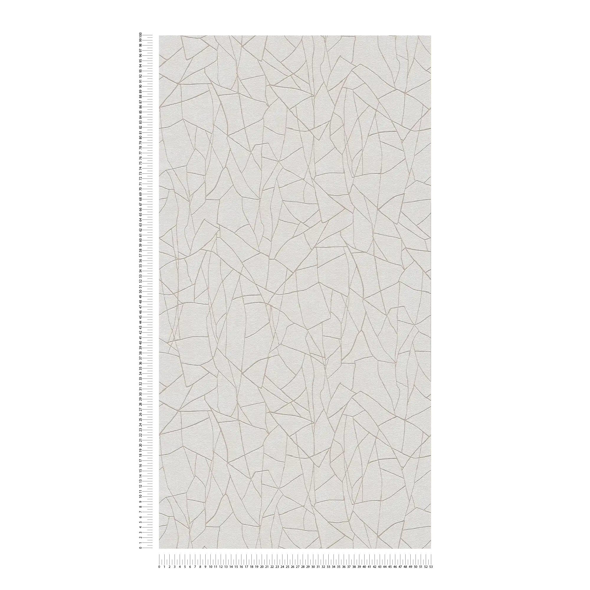             Non-woven wallpaper with graphic 3D nature motif - grey, white
        