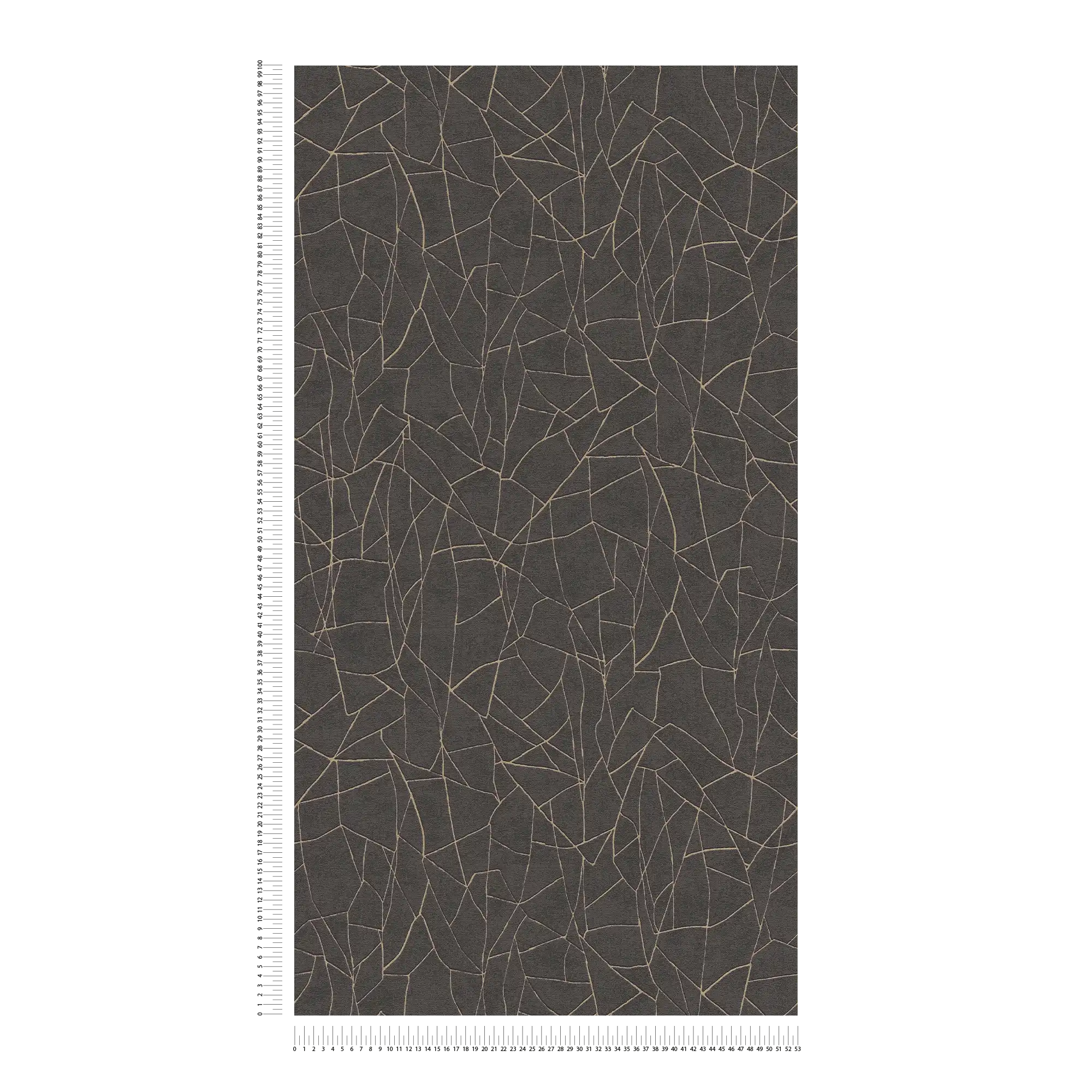             3D vliesbehang met grafisch natuurmotief en gouden accenten - zwart, metallic
        