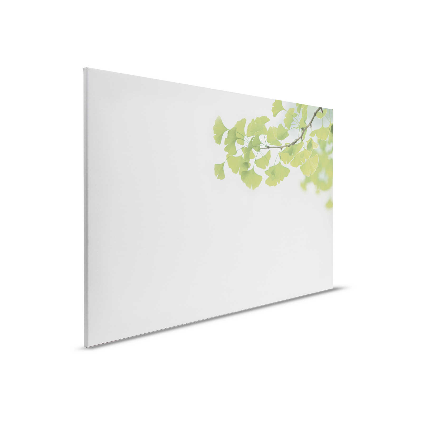 Tableau sur toile avec réplique de branche de ginkgo | vert, blanc - 0,90 m x 0,60 m
