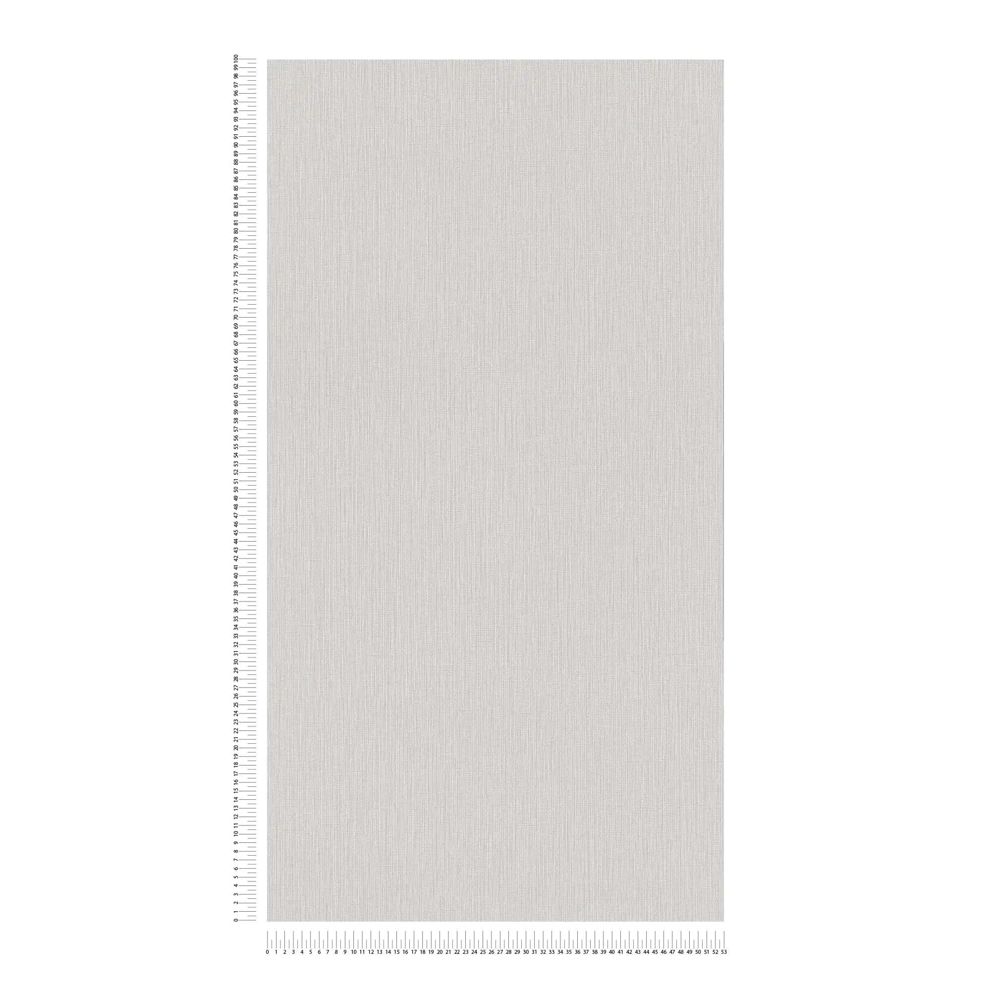             Single-coloured non-woven wallpaper with a light textured effect - grey
        