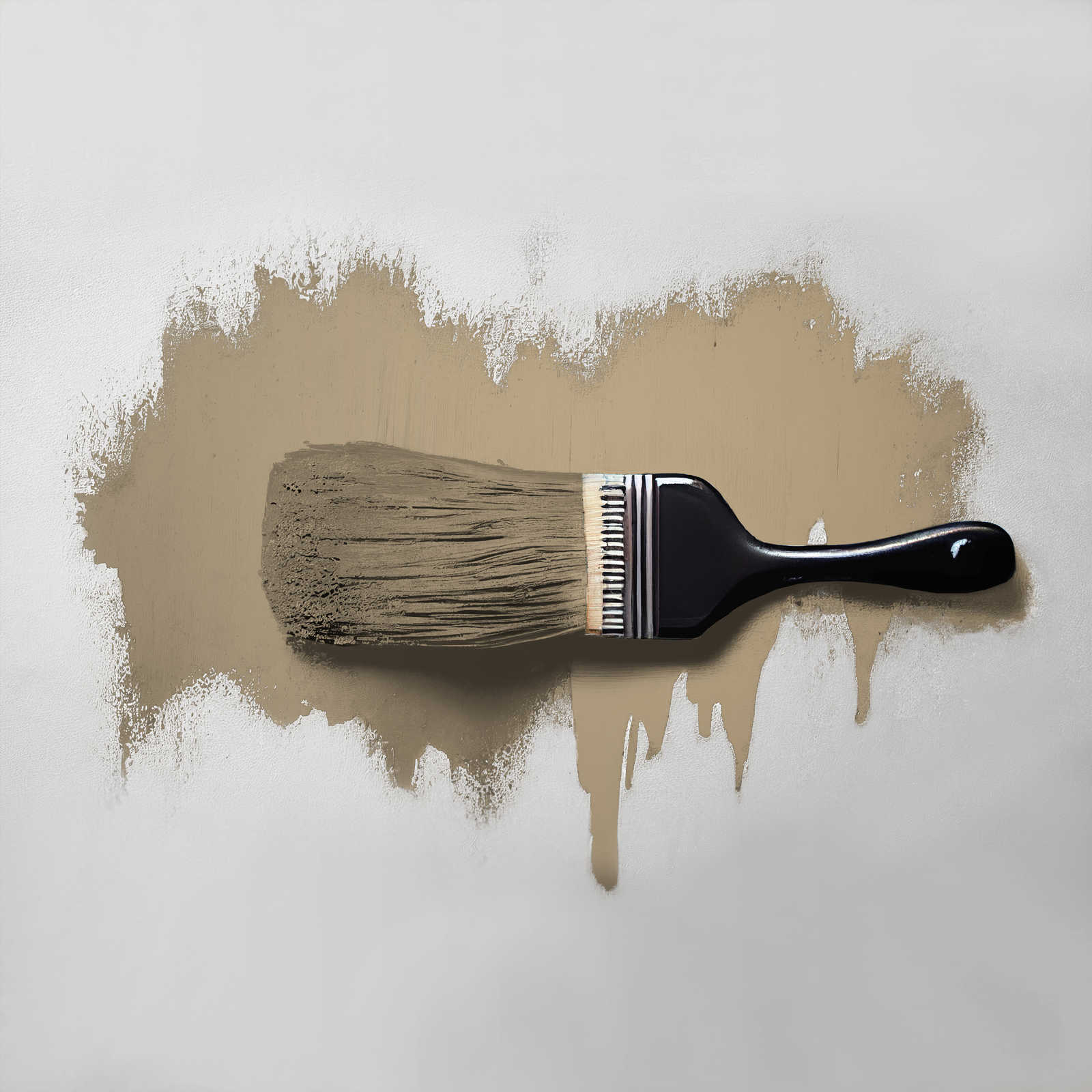             Wall Paint TCK6001 »Green Lentil« in earthy khaki – 2.5 litre
        