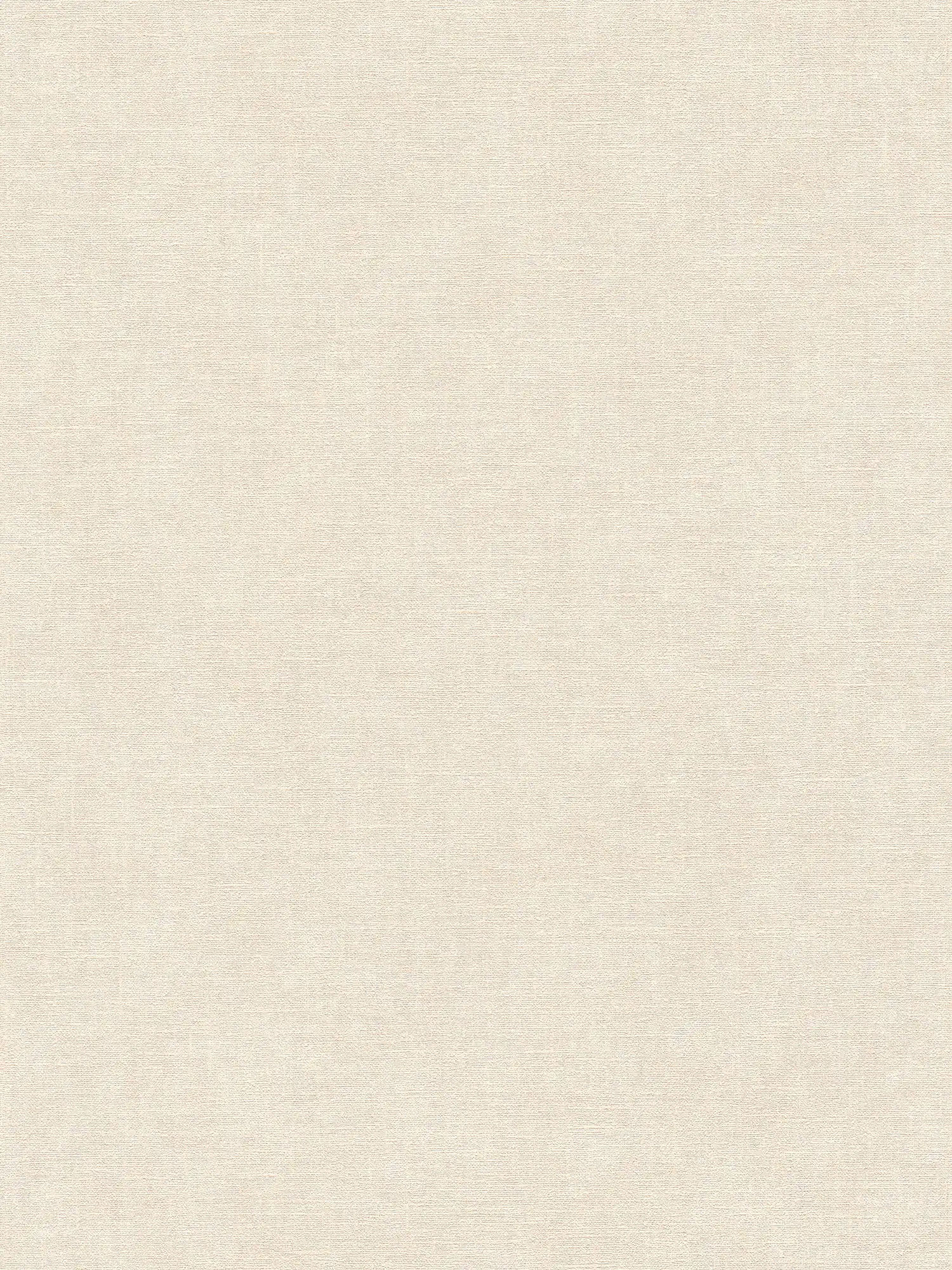         papier peint en papier intissé uni imitation crépi avec légère structure - beige, crème
    