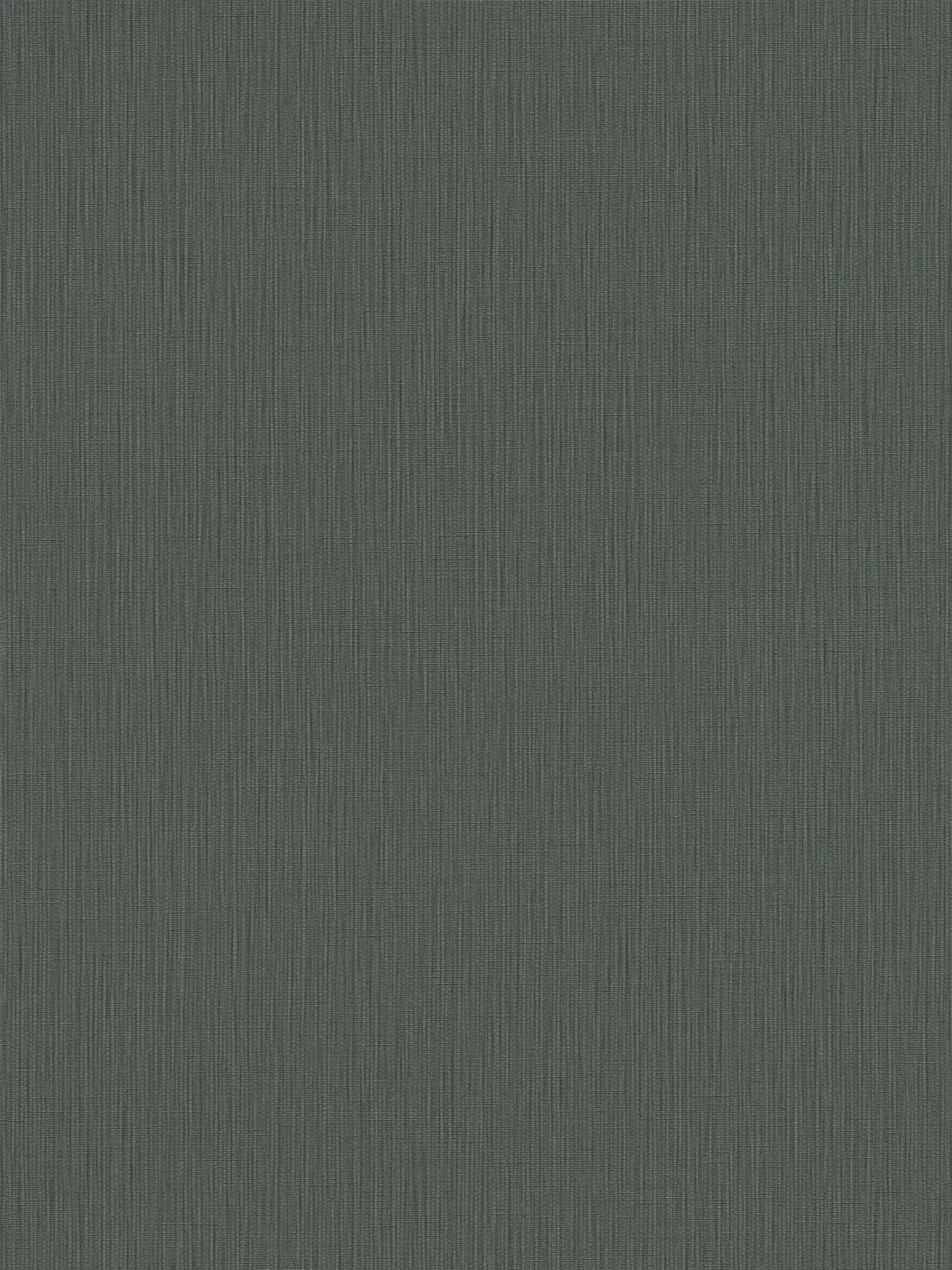 Dark plain non-woven wallpaper with a textured look - grey, anthracite
