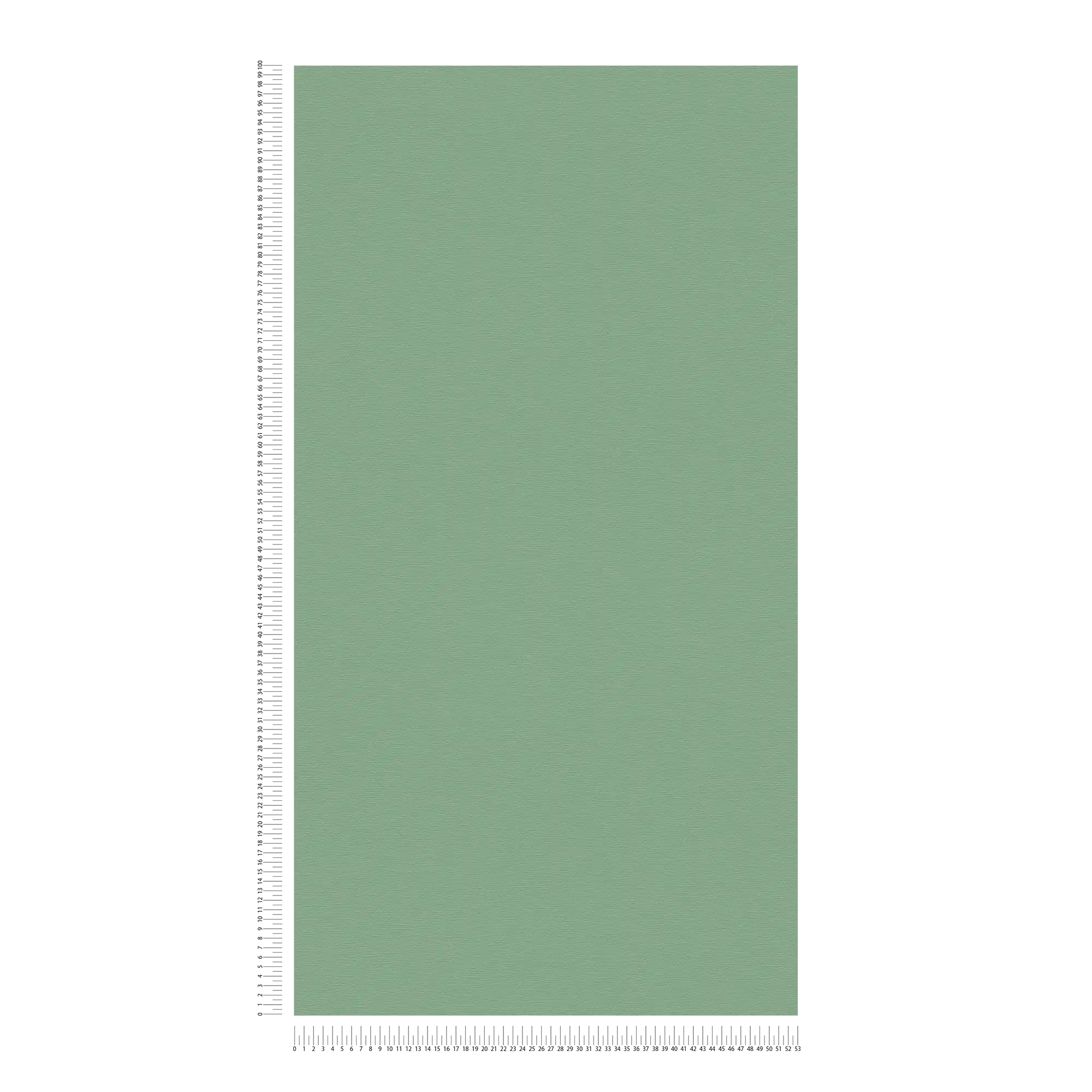             Finely textured plain non-woven wallpaper - green
        