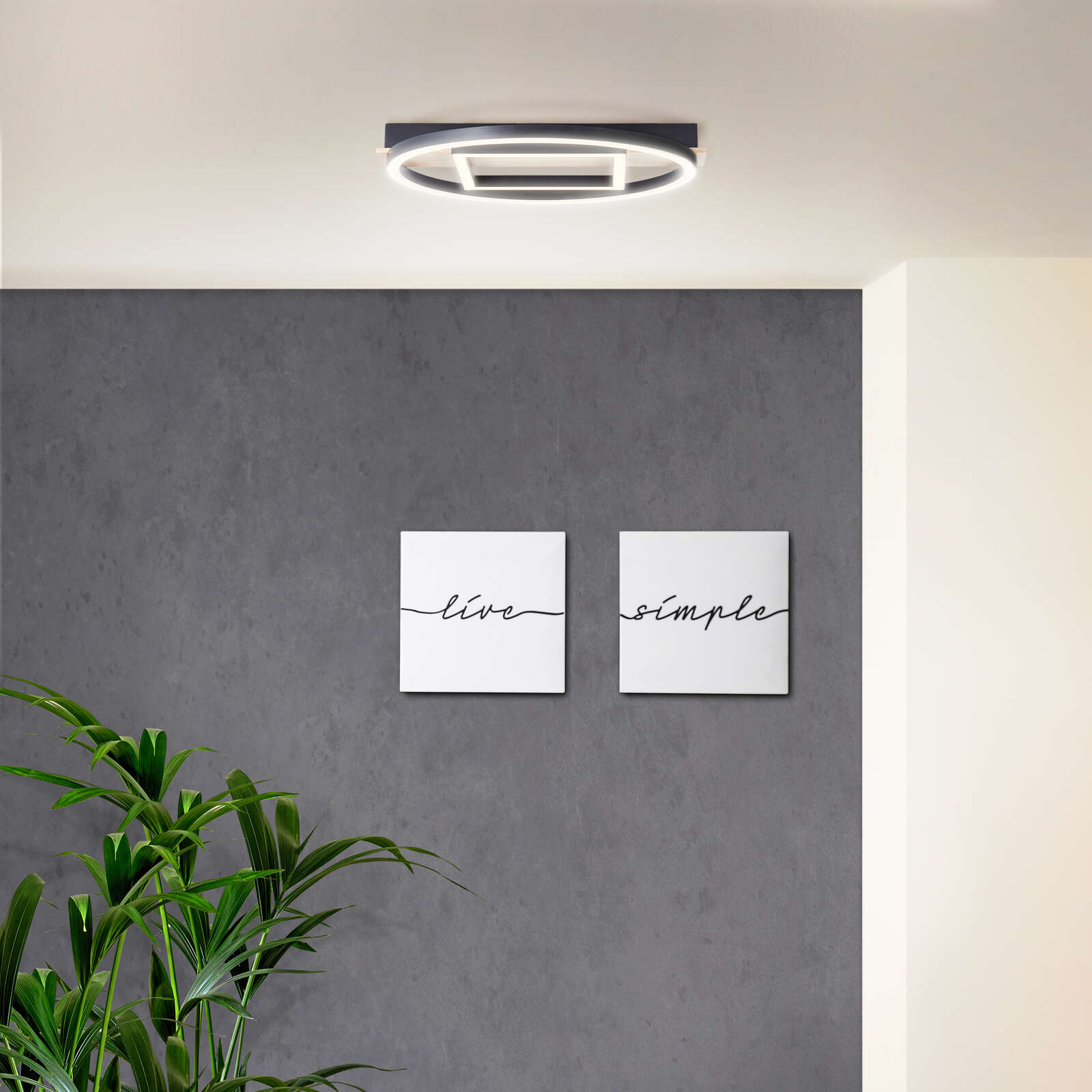             Wooden ceiling light - Leopold 3 - Brown
        