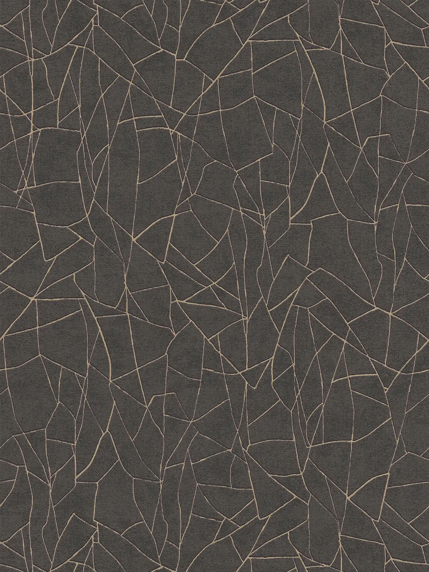         papier peint en papier intissé 3D avec motif naturel graphique et accents dorés - noir, métallique
    