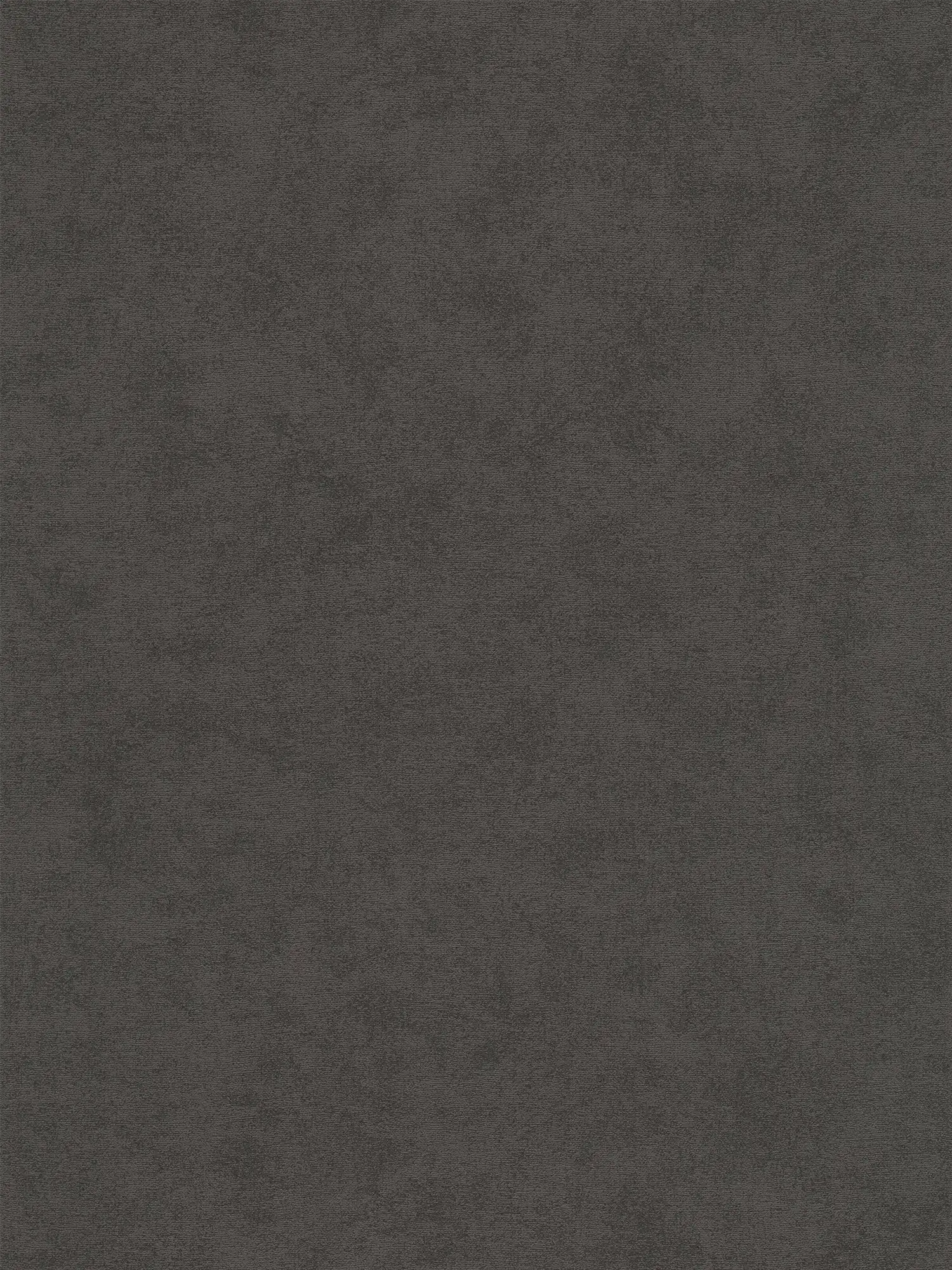         Finely textured plain non-woven wallpaper - black
    