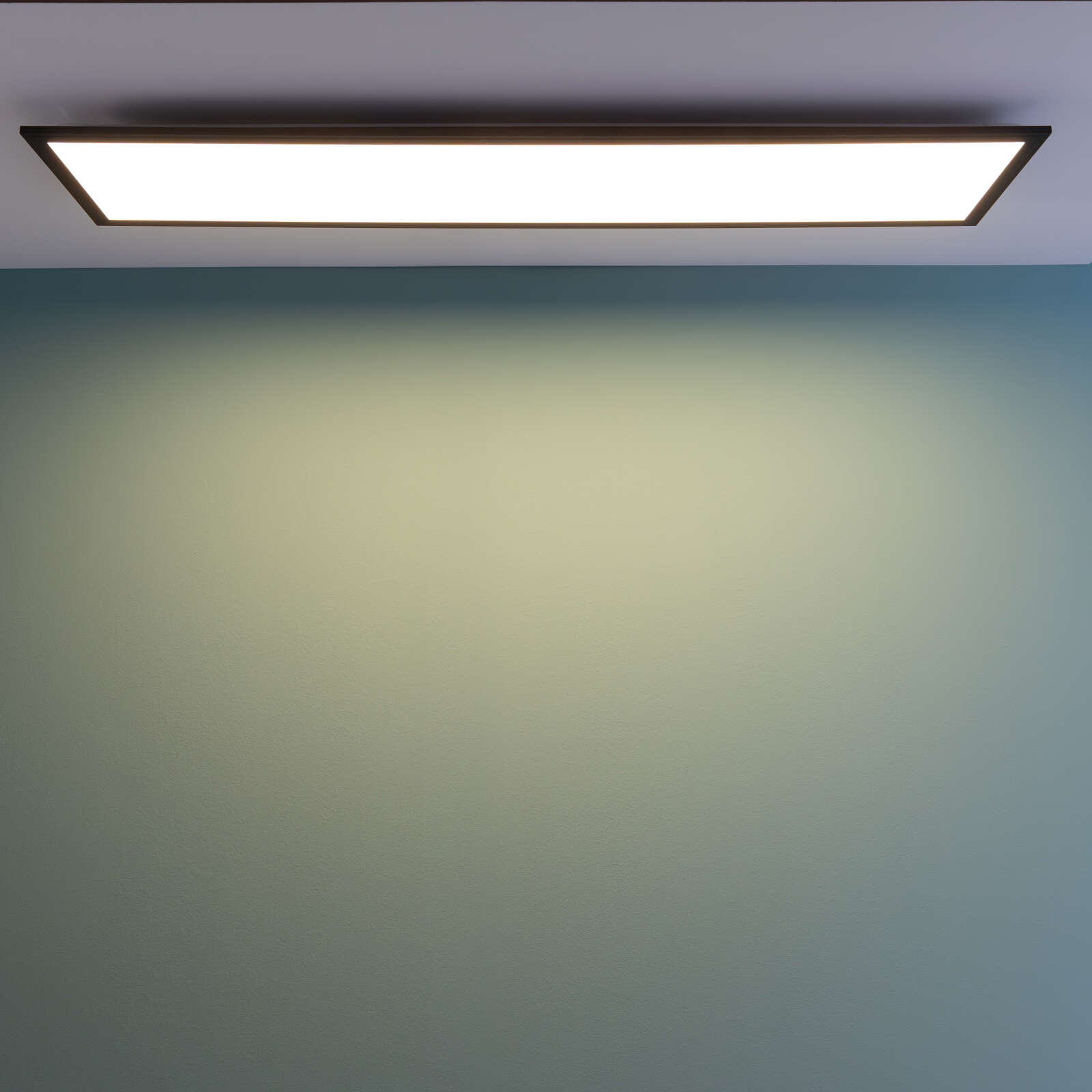             Plastic ceiling light - Fridolin - Black
        